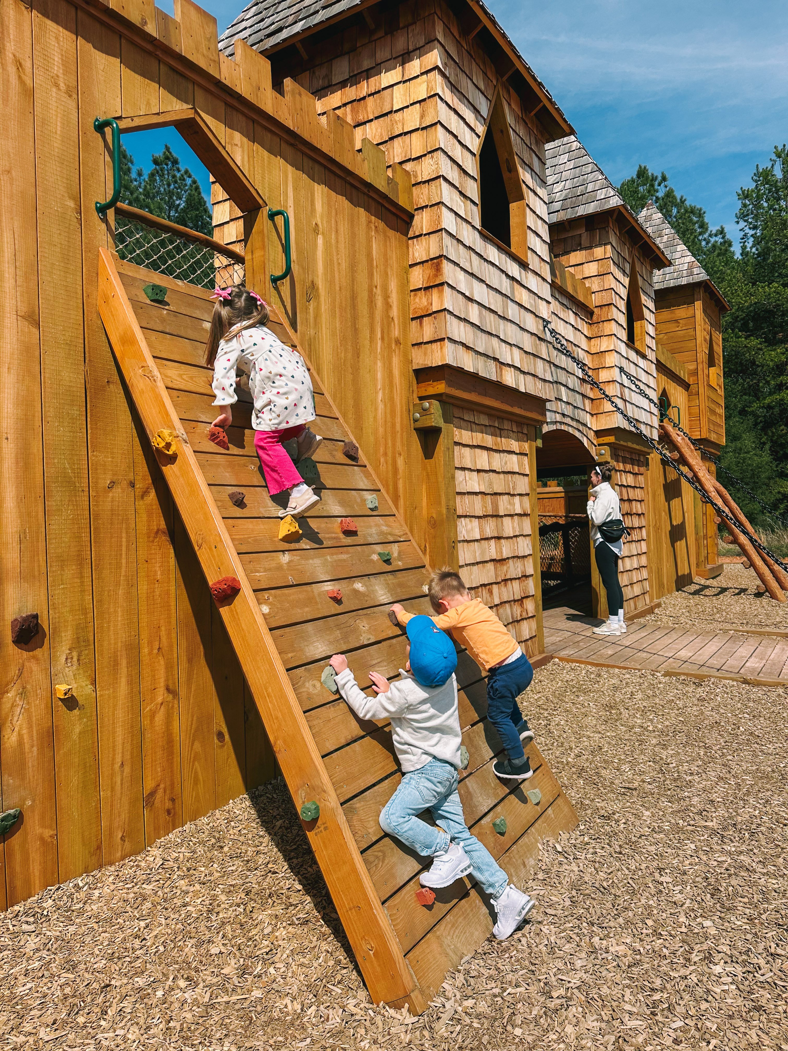 weekly recap, motherhood blog, lifestyle, charlotte, soccer mom, healthy food, lifestyle, dinner for family, postpartum, newborn, boy mom, fort mill, easter, bush n vine, york, anne springs, spring break, motherhood lifestyle blogger, carowinds, healthy dinner ideas, chalk, boy mom, walking, life with toddlers, church, home, baking, gardening, rock hill, spring, coffee, parks