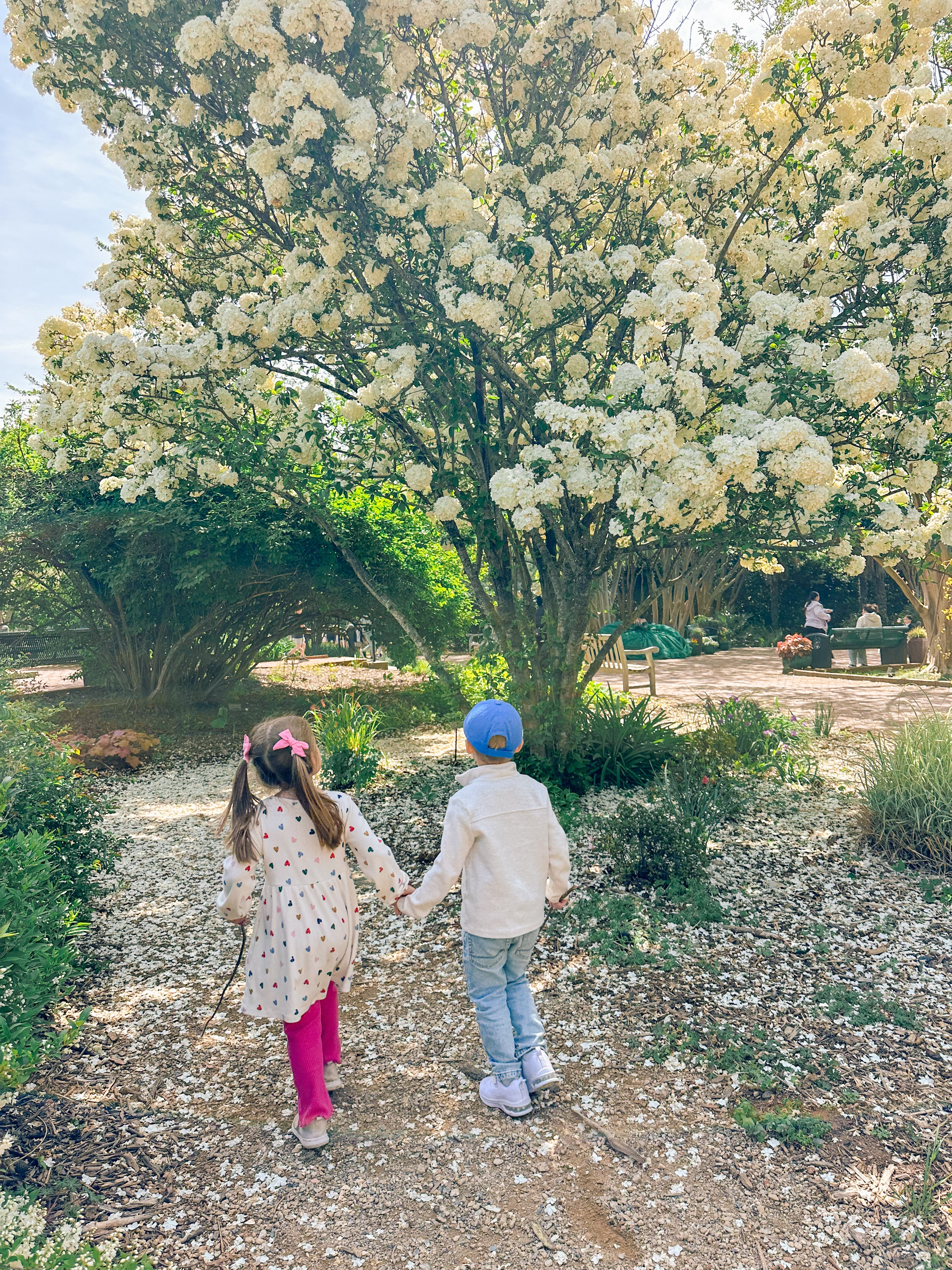 weekly recap, motherhood blog, lifestyle, charlotte, soccer mom, healthy food, lifestyle, dinner for family, postpartum, newborn, boy mom, fort mill, easter, bush n vine, york, anne springs, spring break, motherhood lifestyle blogger, carowinds, healthy dinner ideas, chalk, boy mom, walking, life with toddlers, church, home, baking, gardening, rock hill, spring, coffee, parks