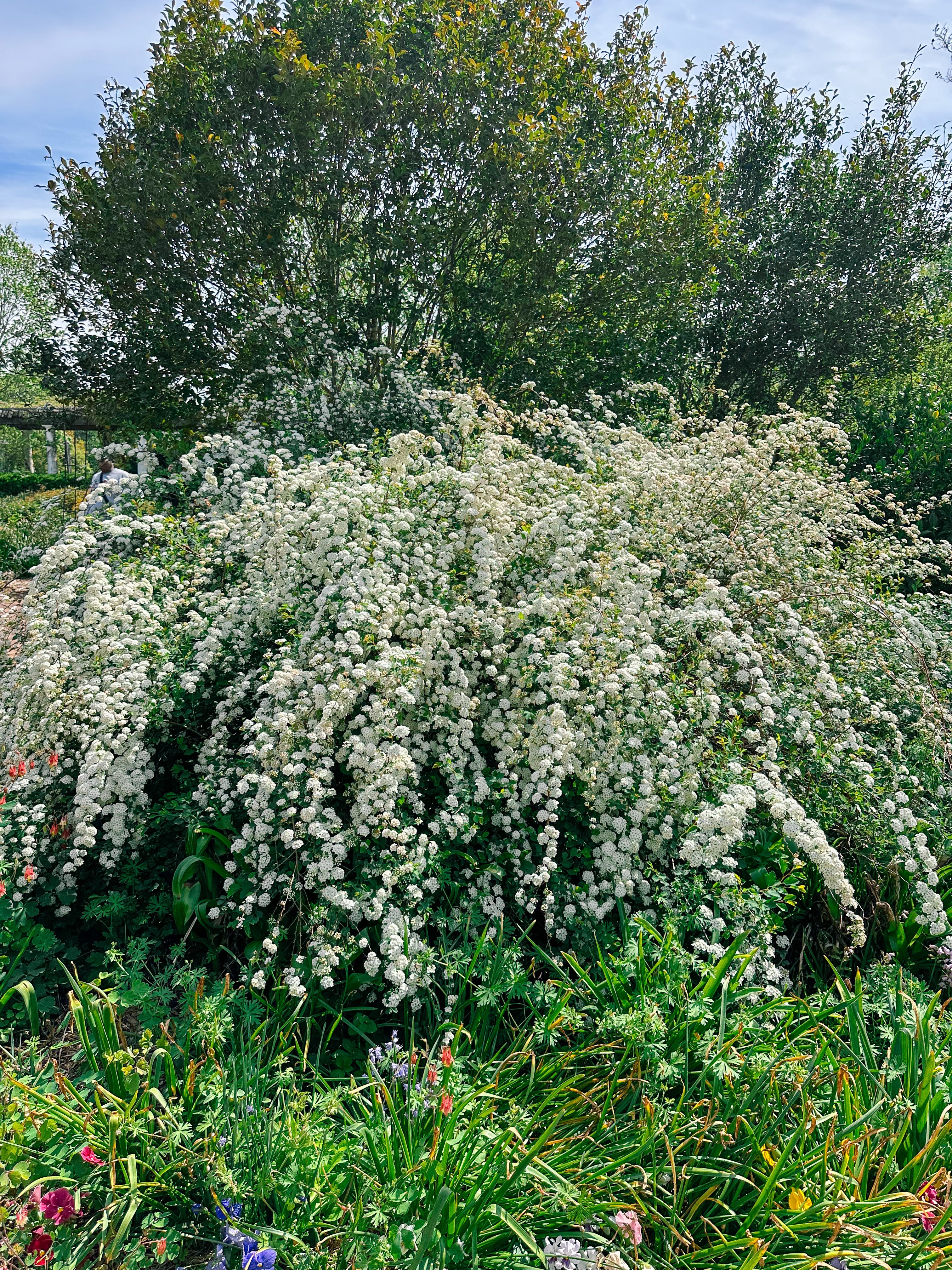 weekly recap, motherhood blog, lifestyle, charlotte, soccer mom, healthy food, lifestyle, dinner for family, postpartum, newborn, boy mom, fort mill, easter, bush n vine, york, anne springs, spring break, motherhood lifestyle blogger, carowinds, healthy dinner ideas, chalk, boy mom, walking, life with toddlers, church, home, baking, gardening, rock hill, spring, coffee, parks