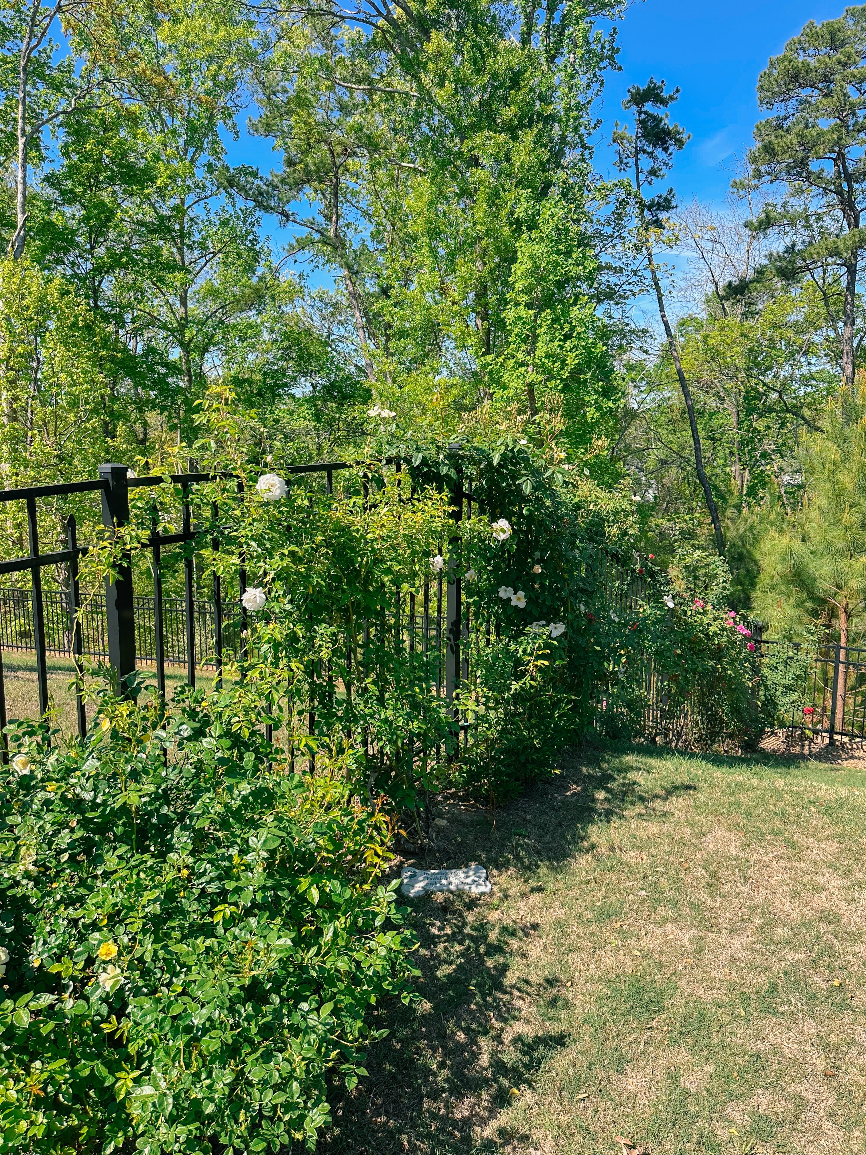 weekly recap, motherhood blog, lifestyle, charlotte, soccer mom, healthy food, lifestyle, dinner for family, postpartum, newborn, boy mom, fort mill, easter, bush n vine, york, anne springs, spring break, motherhood lifestyle blogger, carowinds, healthy dinner ideas, chalk, boy mom, walking, life with toddlers, church, home, baking, gardening, rock hill, spring, coffee, parks