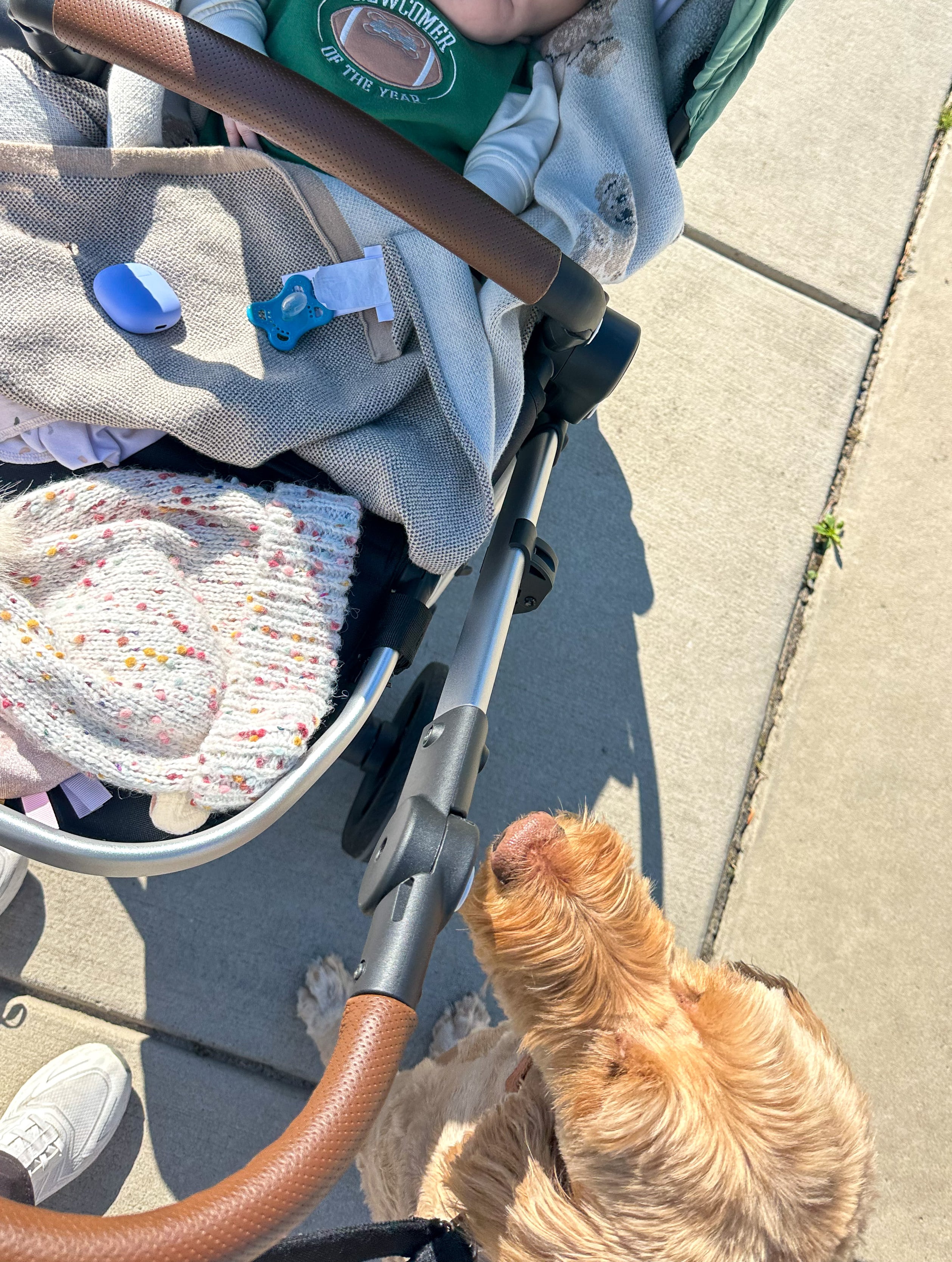 weekly recap, motherhood blog, lifestyle, charlotte, soccer mom, healthy food, lifestyle, dinner for family, postpartum, newborn, boy mom, fort mill, easter, bush n vine, york, anne springs, spring break, motherhood lifestyle blogger, carowinds, healthy dinner ideas, chalk, boy mom, walking, life with toddlers, church, home, baking, gardening, rock hill, spring, coffee, parks