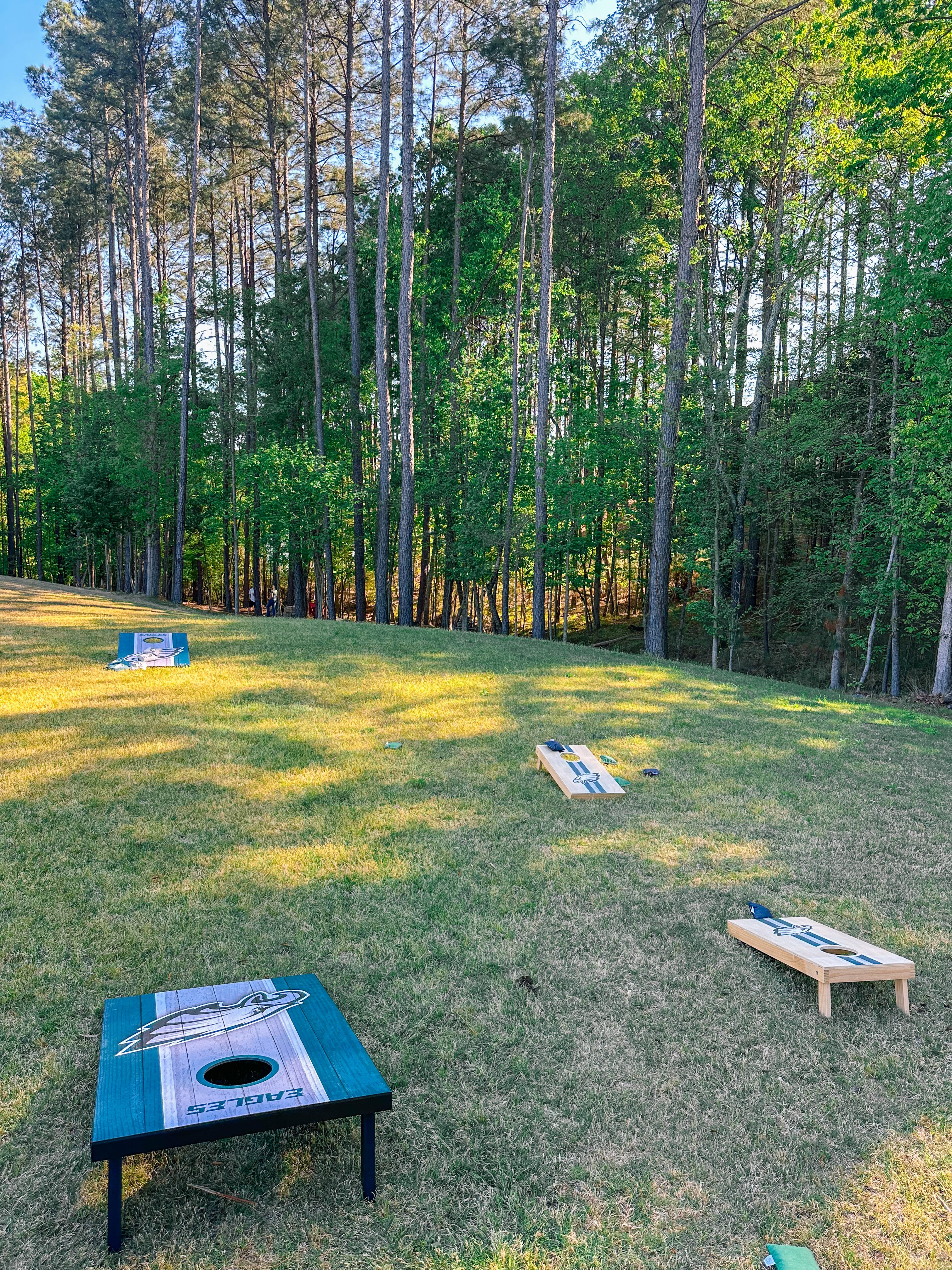 weekly recap, motherhood blog, lifestyle, charlotte, soccer mom, healthy food, lifestyle, dinner for family, postpartum, newborn, boy mom, fort mill, easter, bush n vine, york, anne springs, spring break, motherhood lifestyle blogger, carowinds, healthy dinner ideas, chalk, boy mom, walking, life with toddlers, church, home, baking, gardening, rock hill, spring, coffee, parks