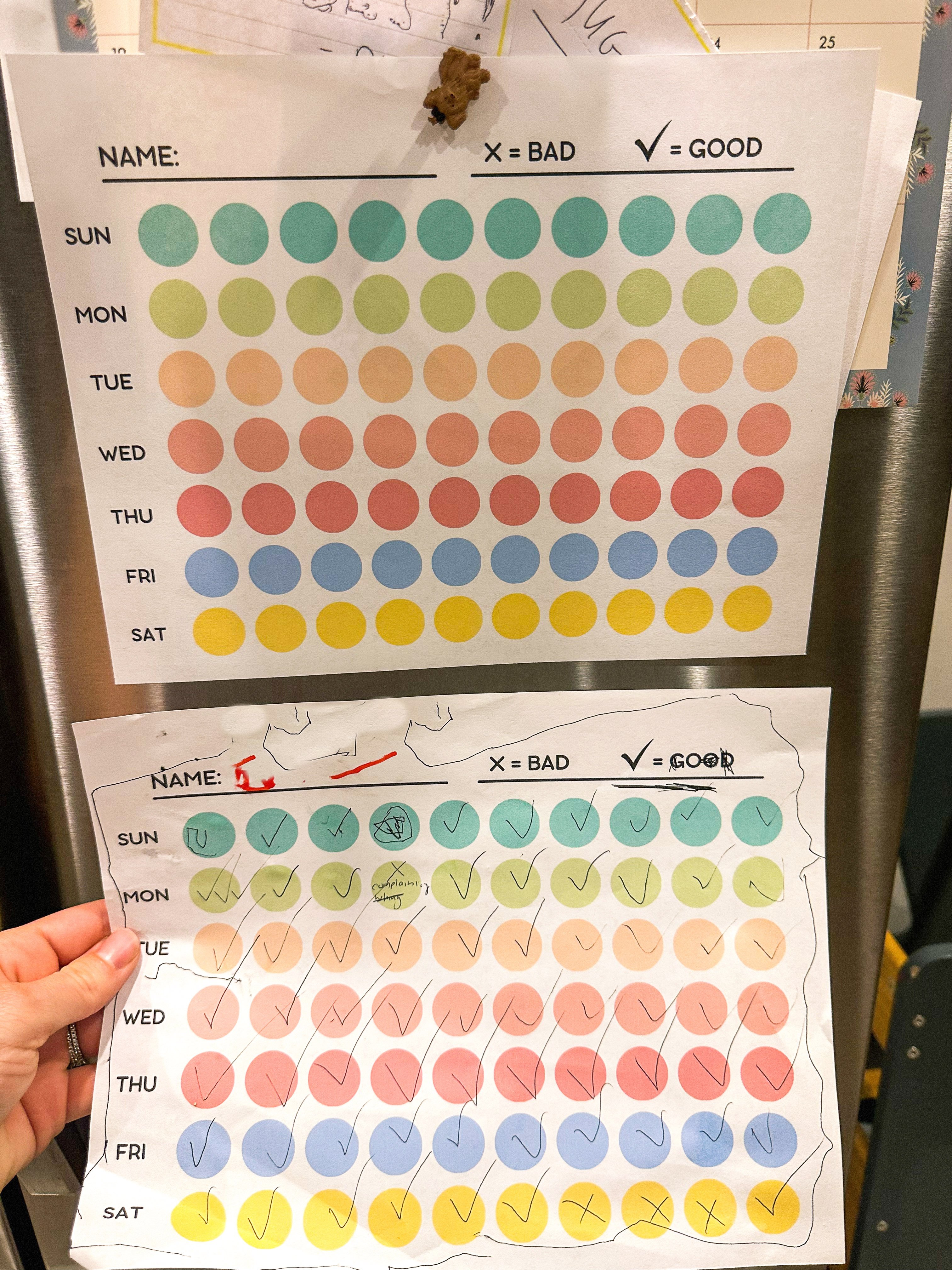 weekly recap, motherhood blog, lifestyle, charlotte, soccer mom, healthy food, lifestyle, dinner for family, postpartum, newborn, boy mom, fort mill, easter, bush n vine, york, anne springs, spring break, motherhood lifestyle blogger, carowinds, healthy dinner ideas, chalk, boy mom, walking, life with toddlers, church, home, baking, gardening, rock hill, spring, coffee, parks