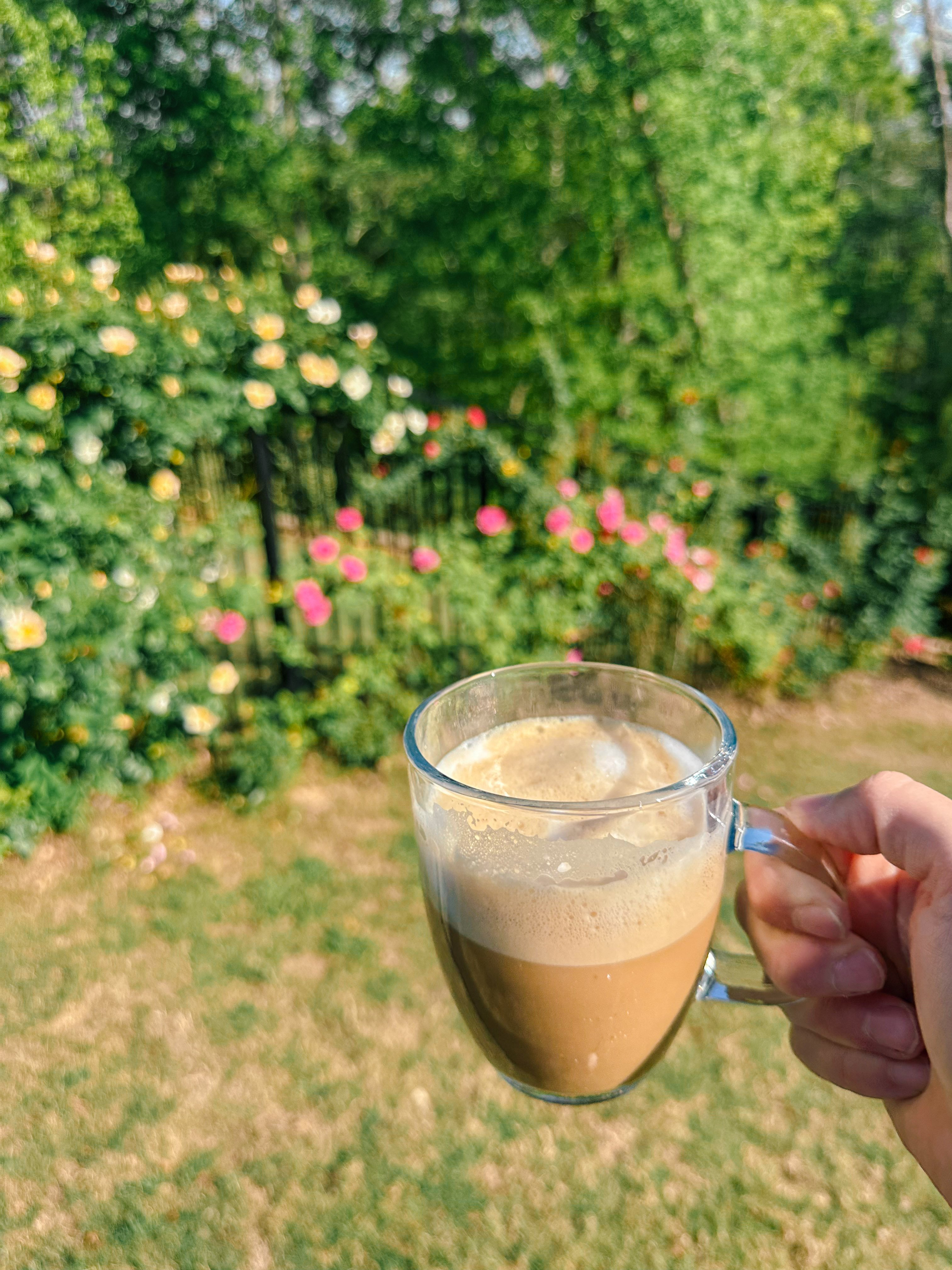 weekly recap, motherhood blog, lifestyle, charlotte, soccer mom, healthy food, lifestyle, dinner for family, postpartum, newborn, boy mom, fort mill, easter, bush n vine, york, anne springs, spring break, motherhood lifestyle blogger, carowinds, healthy dinner ideas, chalk, boy mom, walking, life with toddlers, church, home, baking, gardening, rock hill, spring, coffee, parks