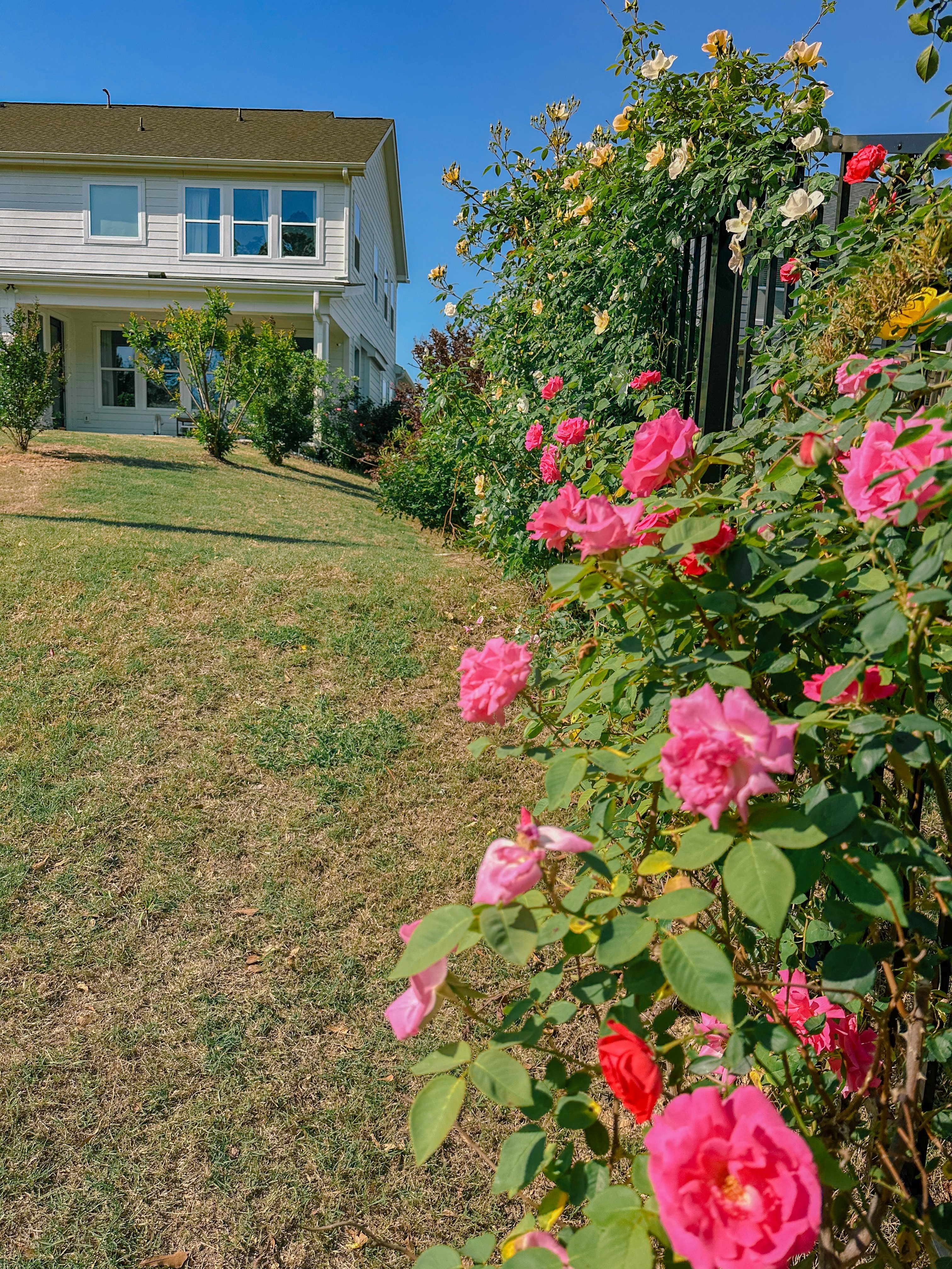 weekly recap, motherhood blog, lifestyle, charlotte, soccer mom, healthy food, lifestyle, dinner for family, postpartum, newborn, boy mom, fort mill, easter, bush n vine, york, anne springs, spring break, motherhood lifestyle blogger, carowinds, healthy dinner ideas, chalk, boy mom, walking, life with toddlers, church, home, baking, gardening, rock hill, spring, coffee, parks