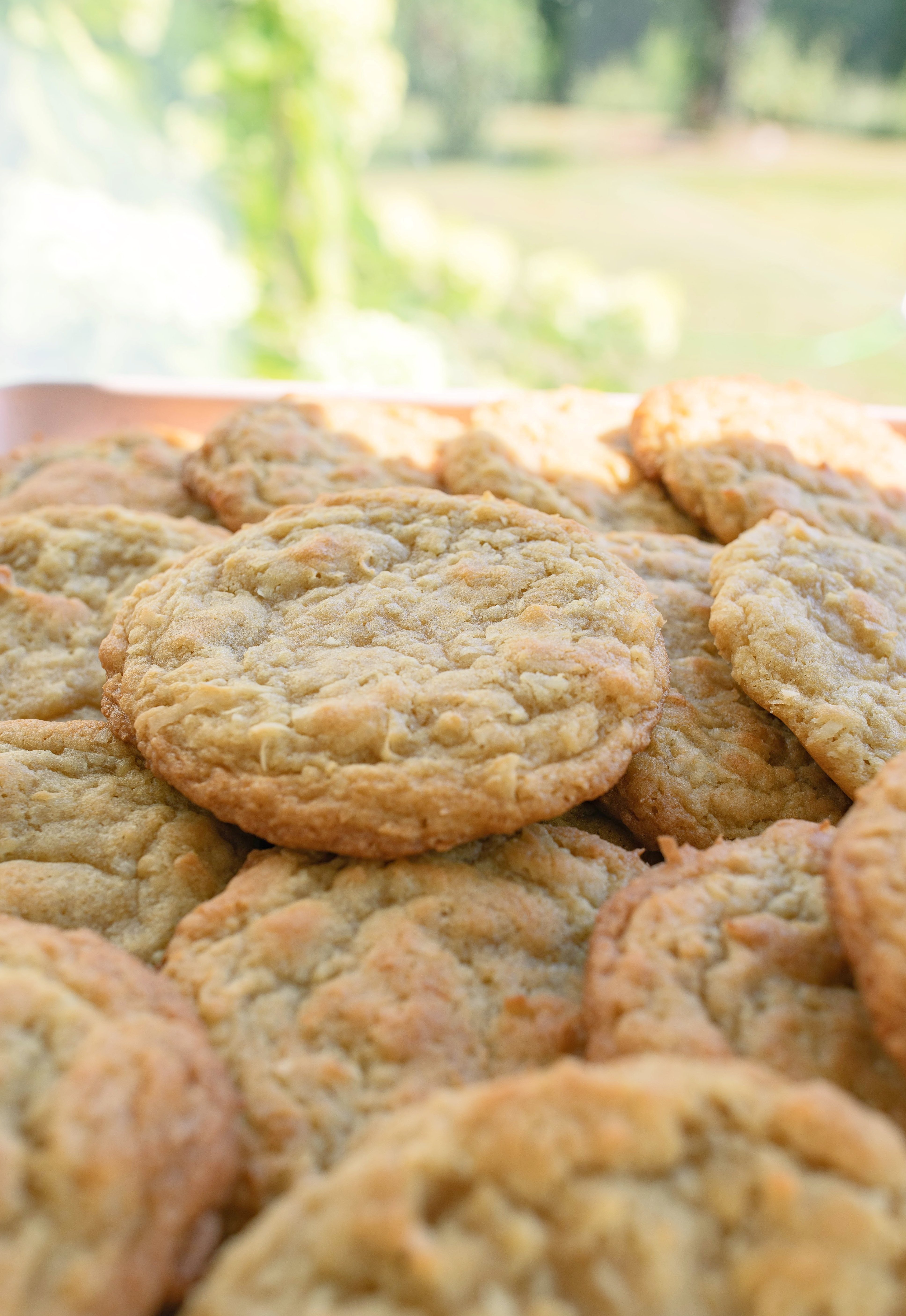 coconut cookies, toasted coconut, dessert, cookies, coconut lovers, chewy coconut, baking, recipe, dessert