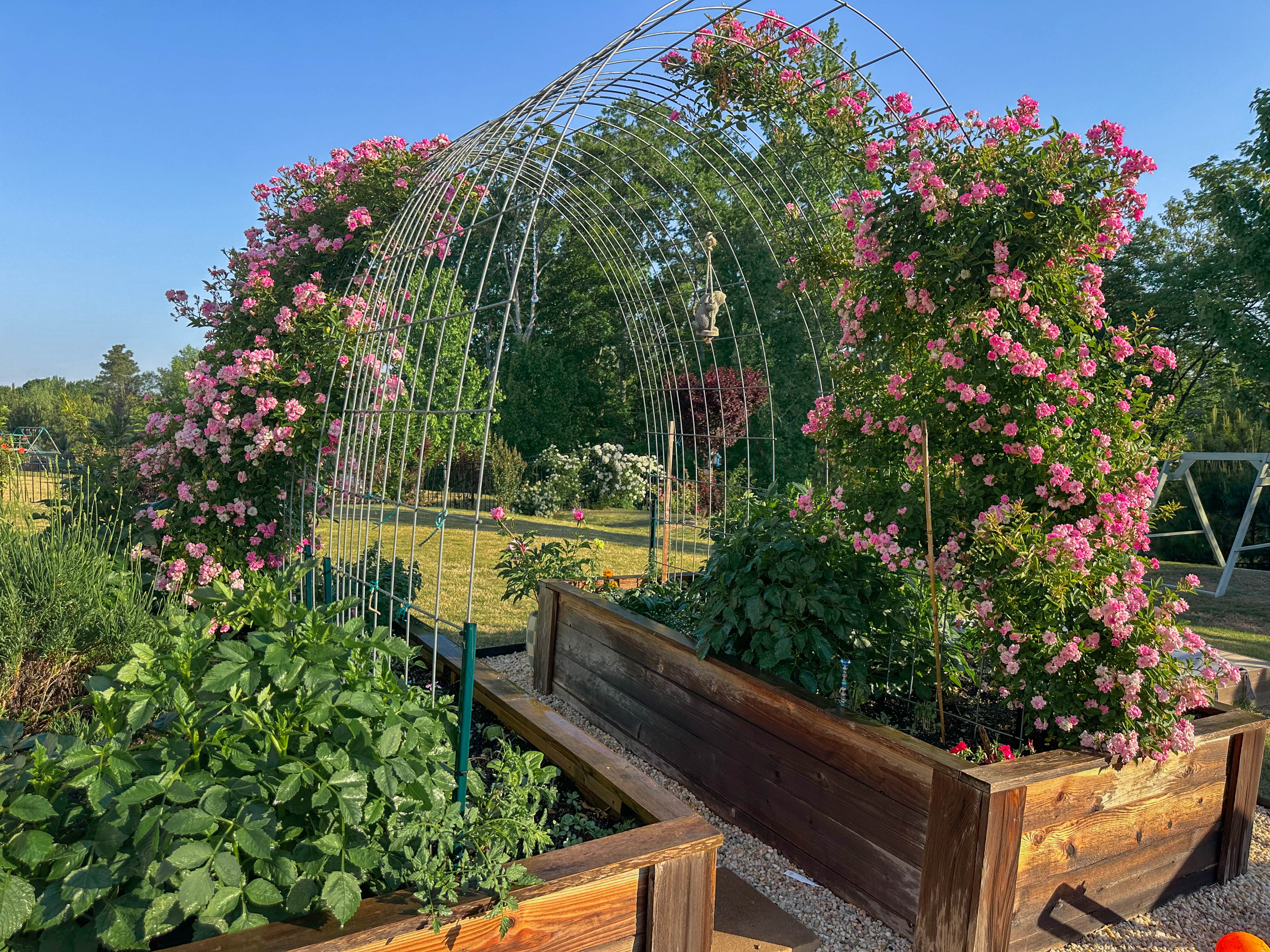 recap blog, weekly recap motherhood, lifestyle blogger, fort mill sc, charlotte nc, farms, ivy place, healthy family, in the south, soccer mom, coffee shops, toddler life, newborn, boy mom, pool, spring, flowers, garden, summer, fitness, recipes, flora coffee shop rock hill