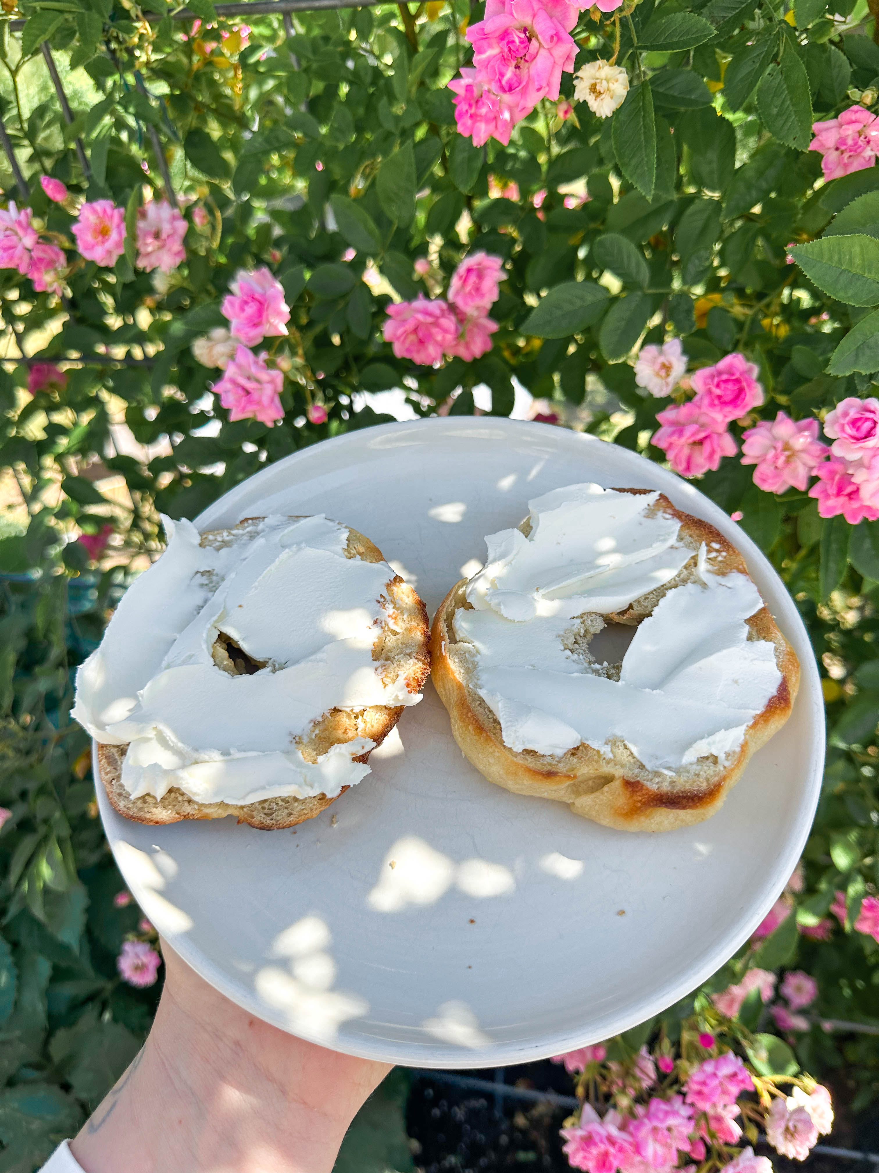 recap blog, weekly recap motherhood, lifestyle blogger, fort mill sc, charlotte nc, farms, ivy place, healthy family, in the south, soccer mom, coffee shops, toddler life, newborn, boy mom, pool, spring, flowers, garden, summer, fitness, recipes, flora coffee shop rock hill