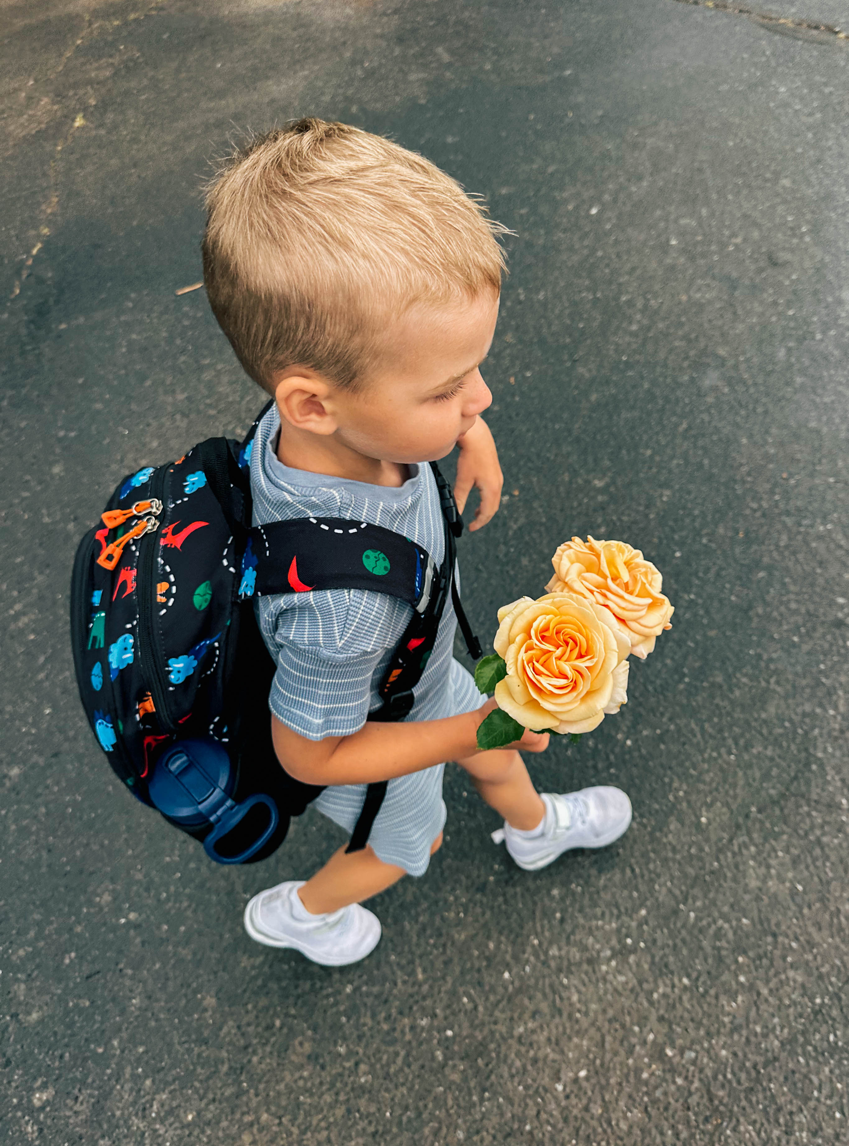 recap blog, weekly recap motherhood, lifestyle blogger, fort mill sc, charlotte nc, farms, ivy place, healthy family, in the south, soccer mom, coffee shops, toddler life, newborn, boy mom, pool, spring, flowers, garden, summer, fitness, recipes, flora coffee shop rock hill