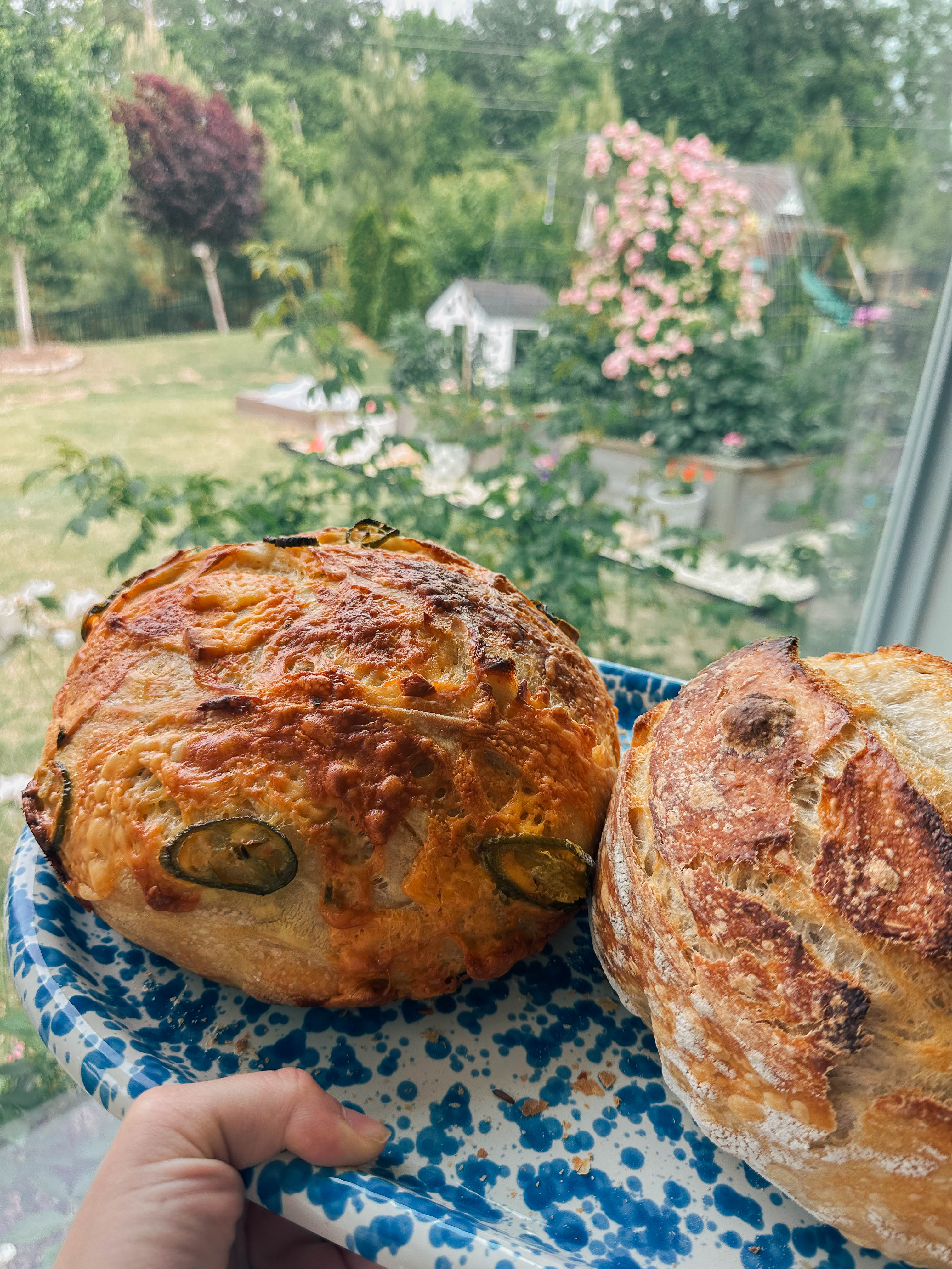 recap blog, weekly recap motherhood, lifestyle blogger, fort mill sc, charlotte nc, farms, ivy place, healthy family, in the south, soccer mom, coffee shops, toddler life, newborn, boy mom, pool, spring, flowers, garden, summer, fitness, recipes, flora coffee shop rock hill