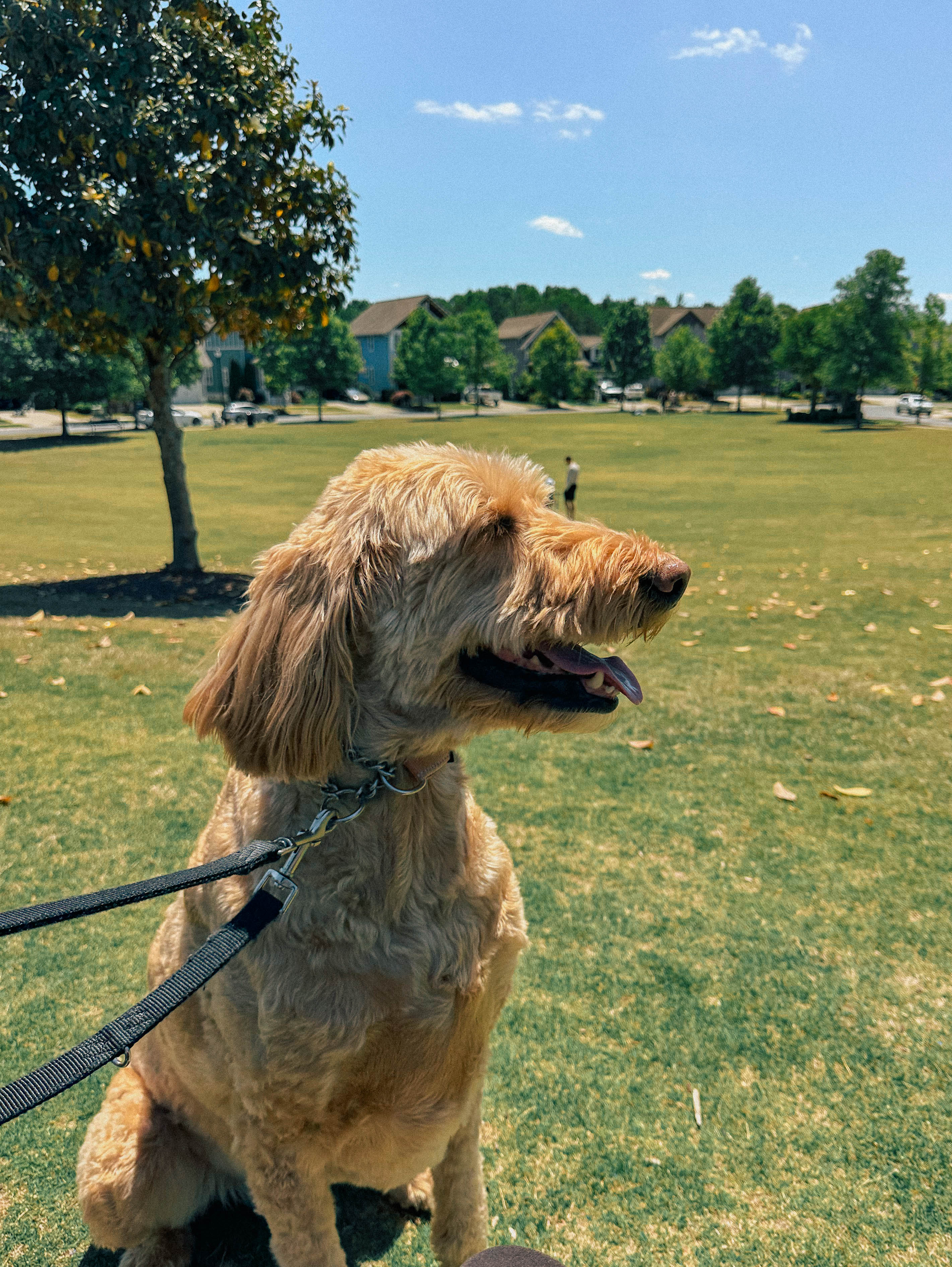 recap blog, weekly recap motherhood, lifestyle blogger, fort mill sc, charlotte nc, farms, ivy place, healthy family, in the south, soccer mom, coffee shops, toddler life, newborn, boy mom, pool, spring, flowers, garden, summer, fitness, recipes, flora coffee shop rock hill