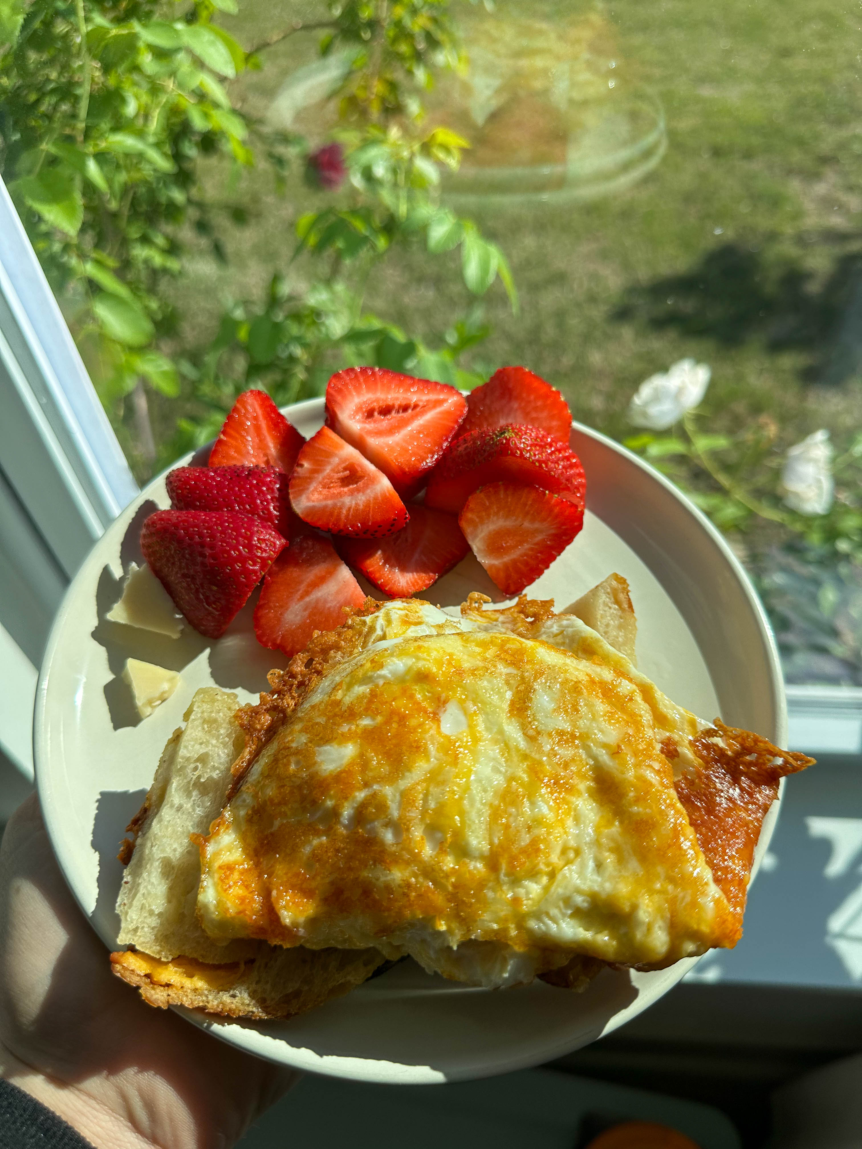recap blog, weekly recap motherhood, lifestyle blogger, fort mill sc, charlotte nc, farms, ivy place, healthy family, in the south, soccer mom, coffee shops, toddler life, newborn, boy mom, pool, spring, flowers, garden, summer, fitness, recipes, flora coffee shop rock hill