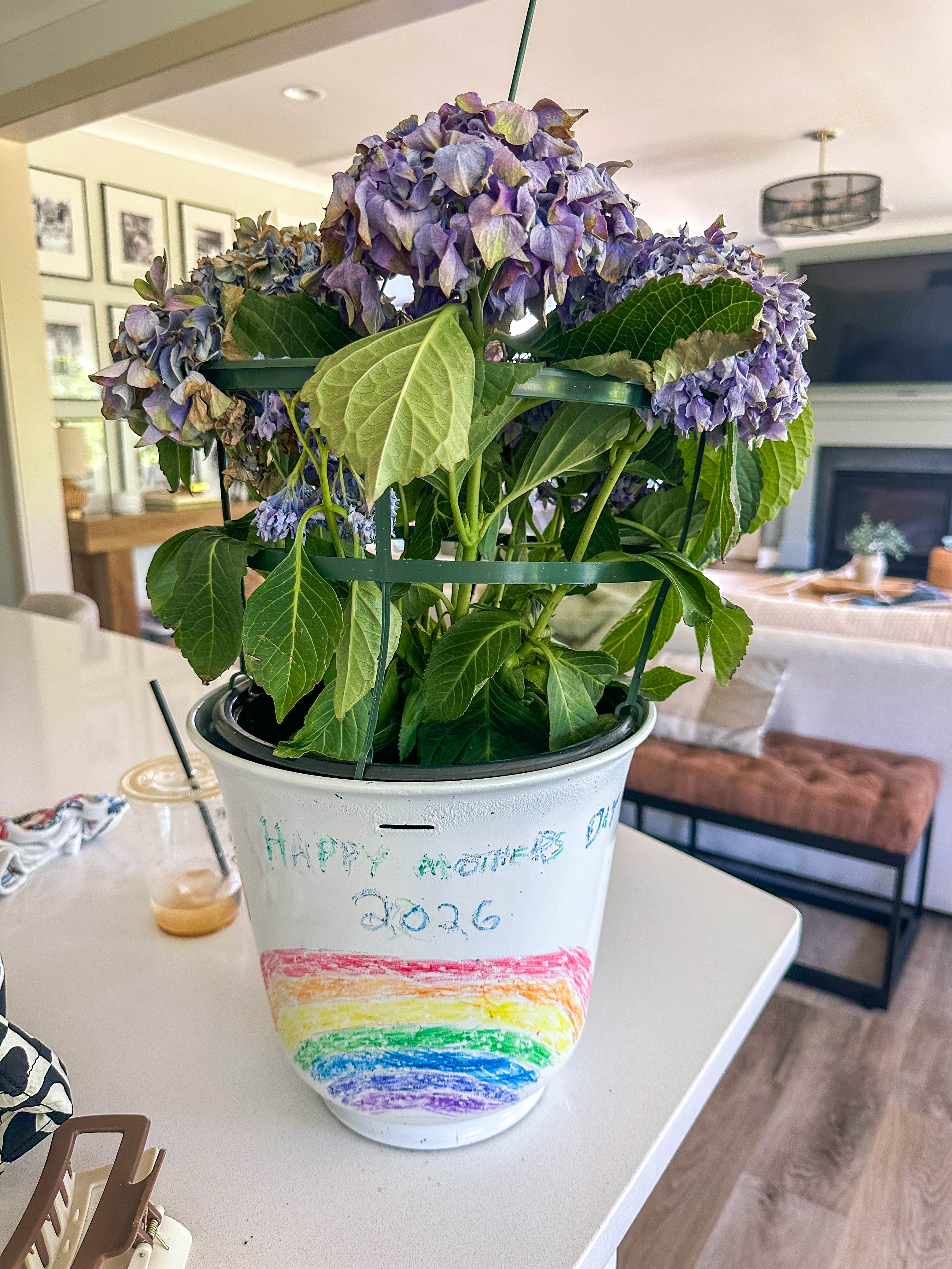 recap blog, weekly recap motherhood, lifestyle blogger, fort mill sc, charlotte nc, farms, ivy place, healthy family, in the south, soccer mom, coffee shops, toddler life, newborn, boy mom, pool, spring, flowers, garden, summer, fitness, recipes, flora coffee shop rock hill