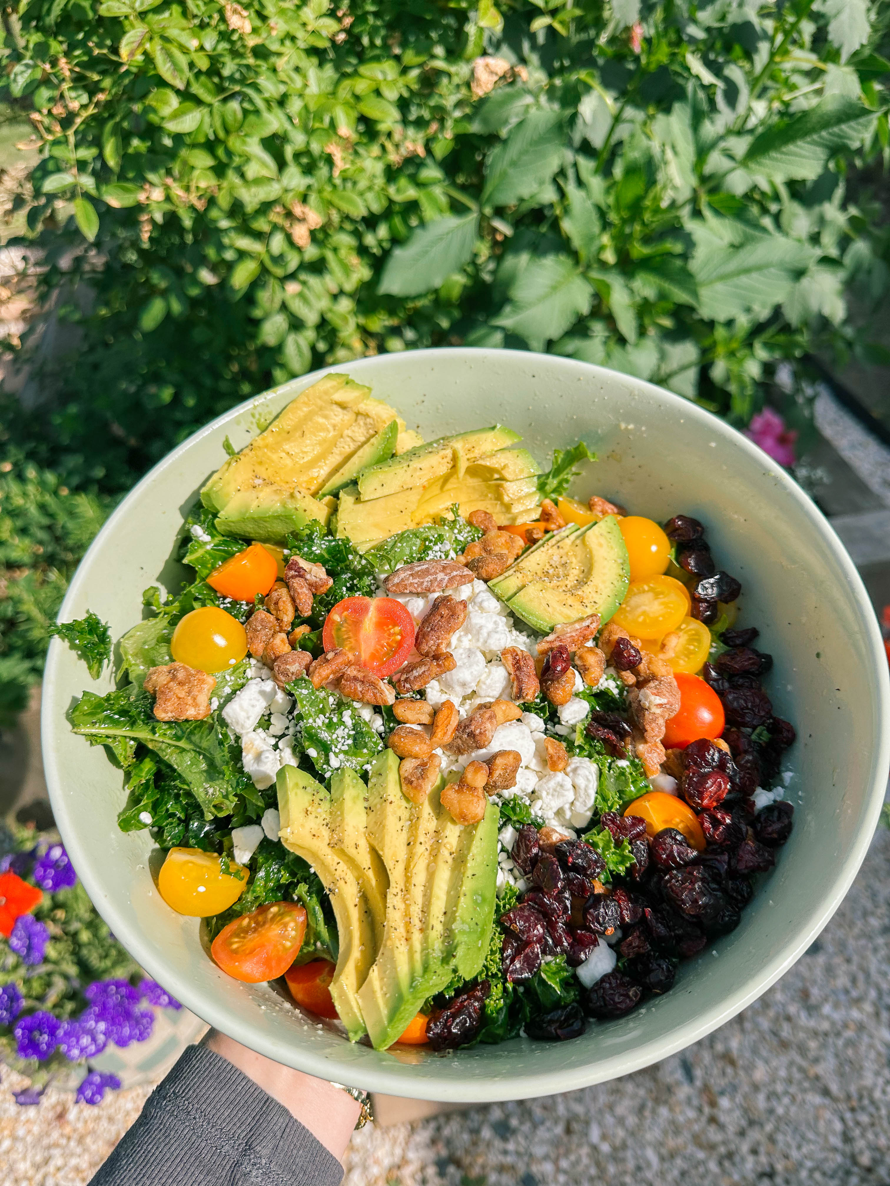 spring kale salad, goat cheese, candied pecans, candied walnuts, arctic seasoning, cranberries, tomatoes, avocado, healthy, dinner, kale salad, pasta kale salad, summer salad, healthy eating, chicken, dutch oven cooked chicken, recipes