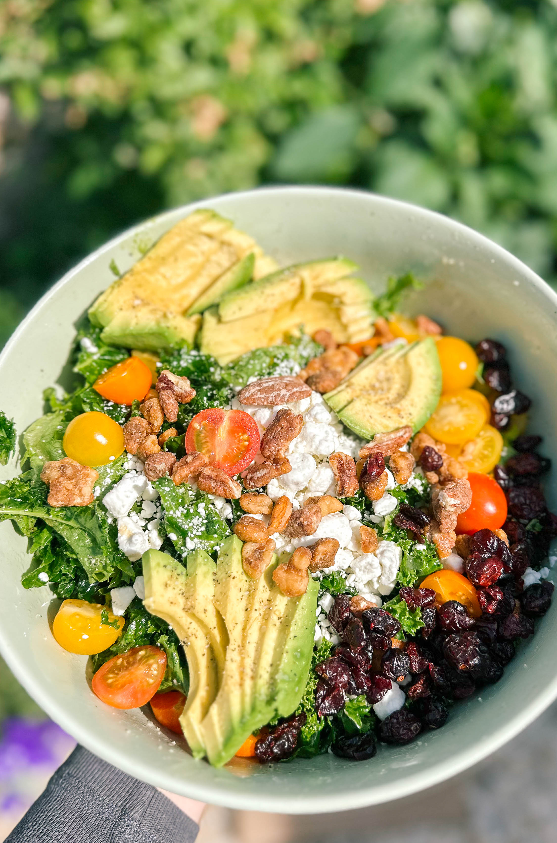 spring kale salad, goat cheese, candied pecans, candied walnuts, arctic seasoning, cranberries, tomatoes, avocado, healthy, dinner, kale salad, pasta kale salad, summer salad, healthy eating, chicken, dutch oven cooked chicken, recipes