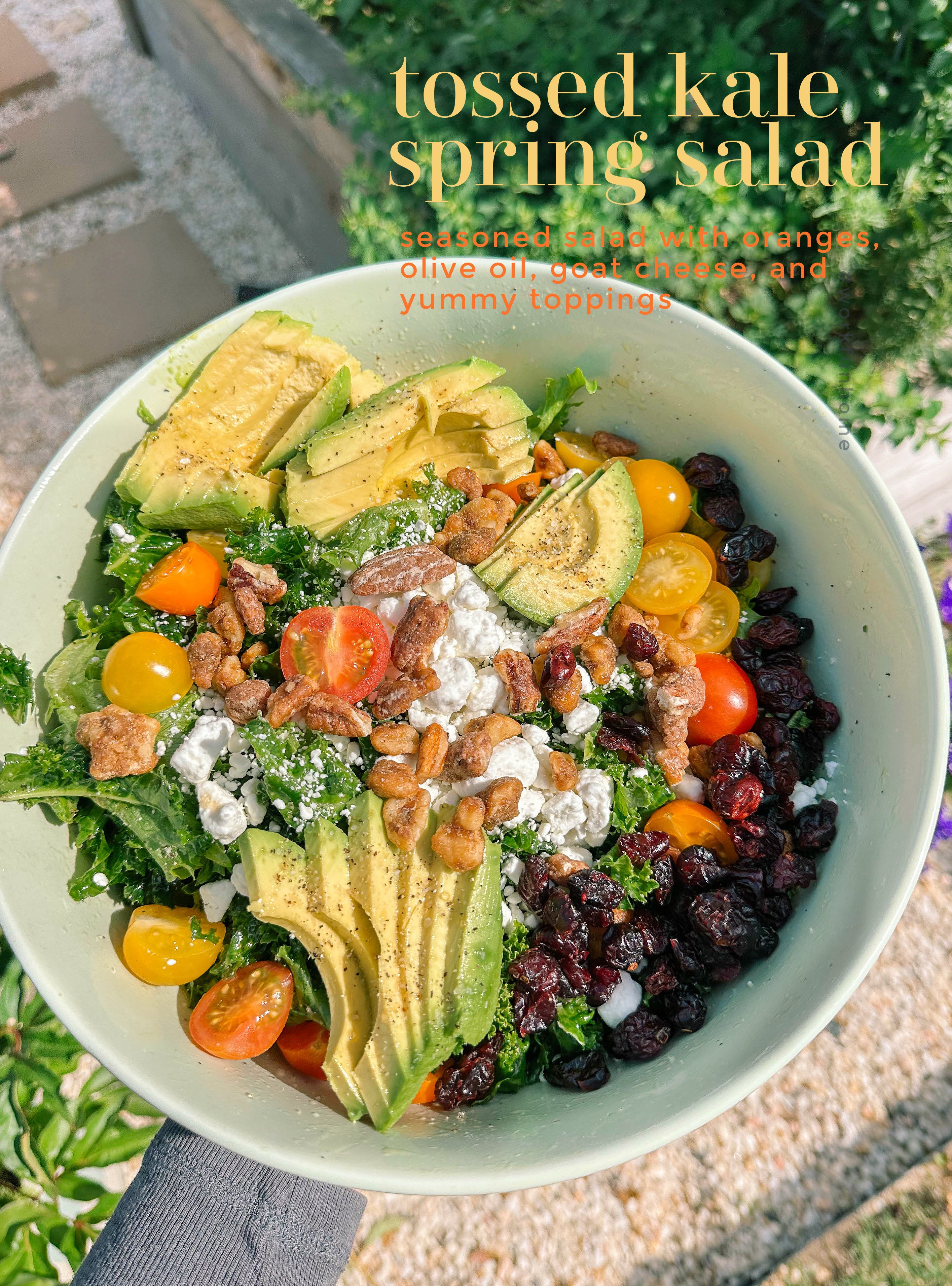 spring kale salad, goat cheese, candied pecans, candied walnuts, arctic seasoning, cranberries, tomatoes, avocado, healthy, dinner, kale salad, pasta kale salad, summer salad, healthy eating, chicken, dutch oven cooked chicken, recipes