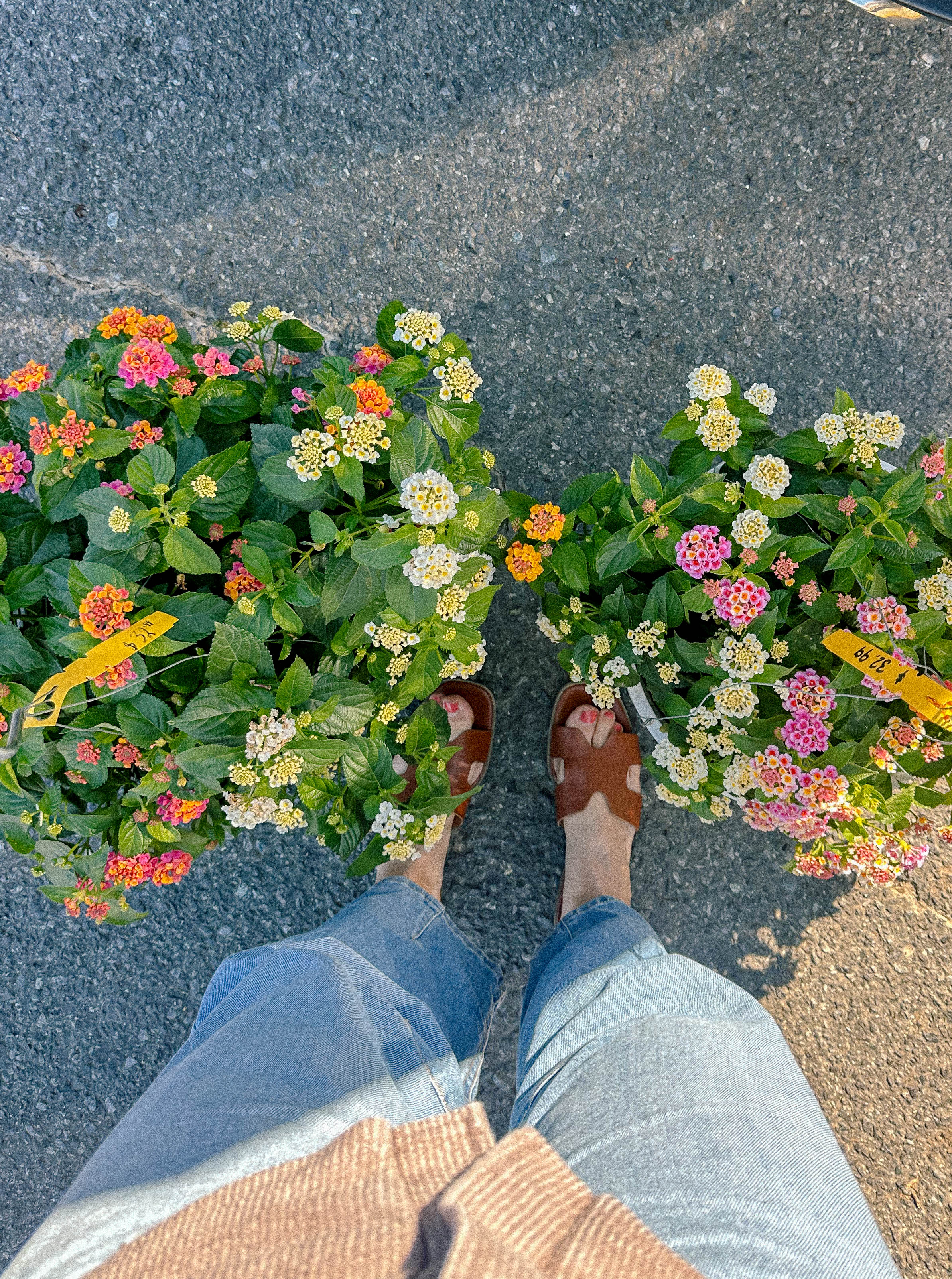 recap blog, weekly recap motherhood, lifestyle blogger, fort mill sc, charlotte nc, farms, ivy place, healthy family, in the south, soccer mom, coffee shops, toddler life, newborn, boy mom, pool, spring, flowers, garden, summer, fitness, recipes, flora coffee shop rock hill