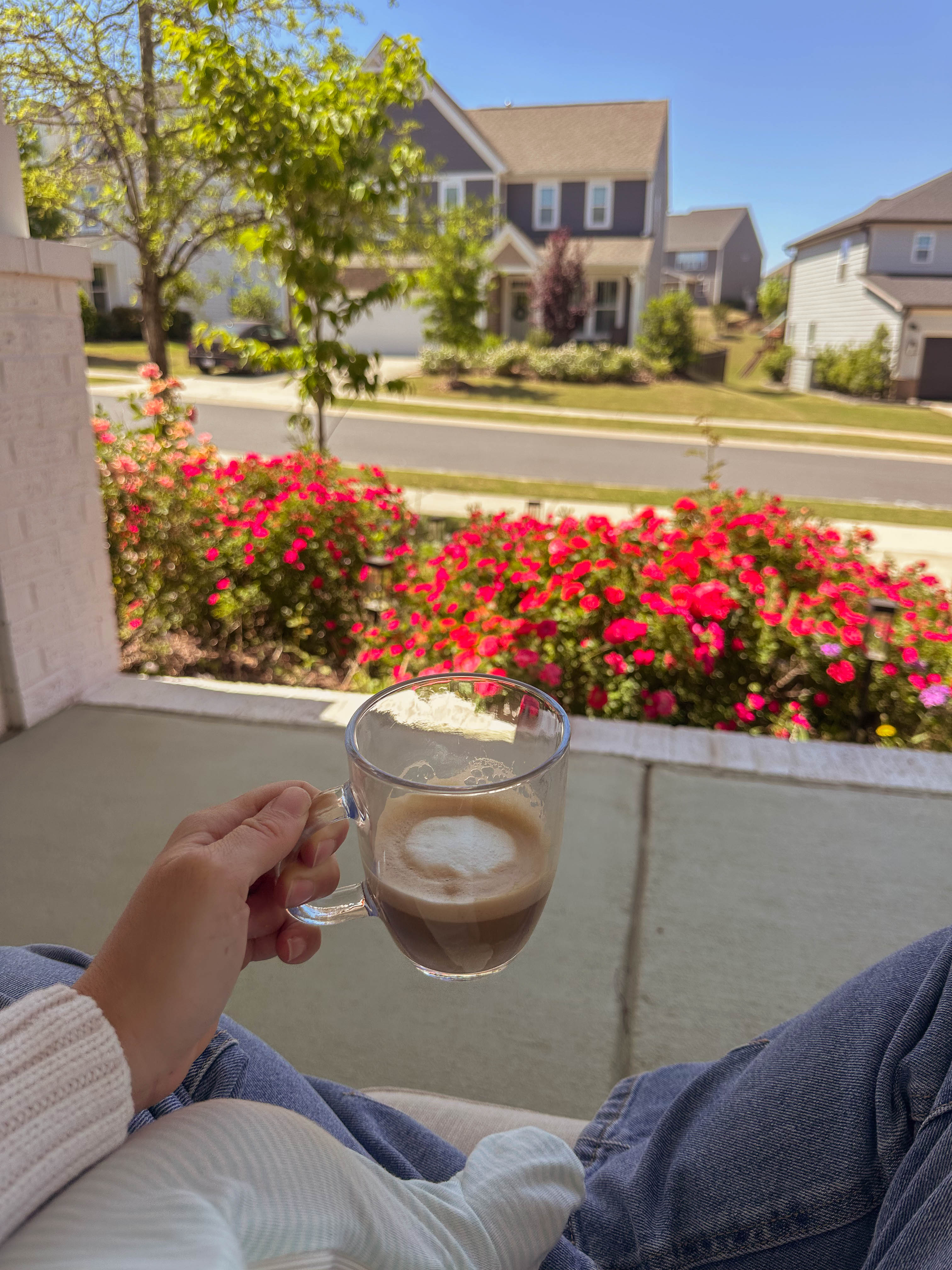 recap blog, weekly recap motherhood, lifestyle blogger, fort mill sc, charlotte nc, farms, ivy place, healthy family, in the south, soccer mom, coffee shops, toddler life, newborn, boy mom, pool, spring, flowers, garden, summer, fitness, recipes, flora coffee shop rock hill