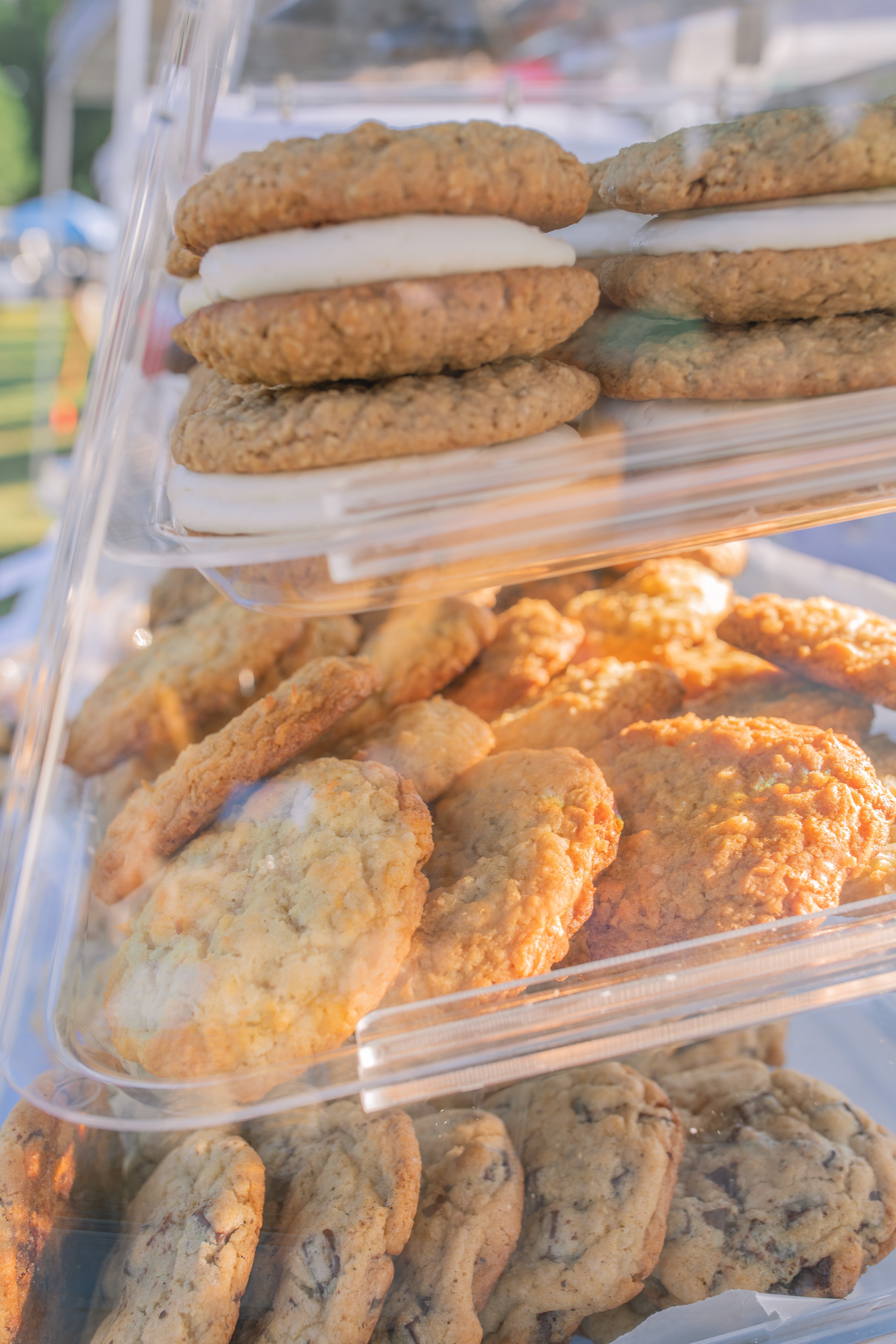 coconut cookies, toasted coconut, dessert, cookies, coconut lovers, chewy coconut, baking, recipe, dessert
