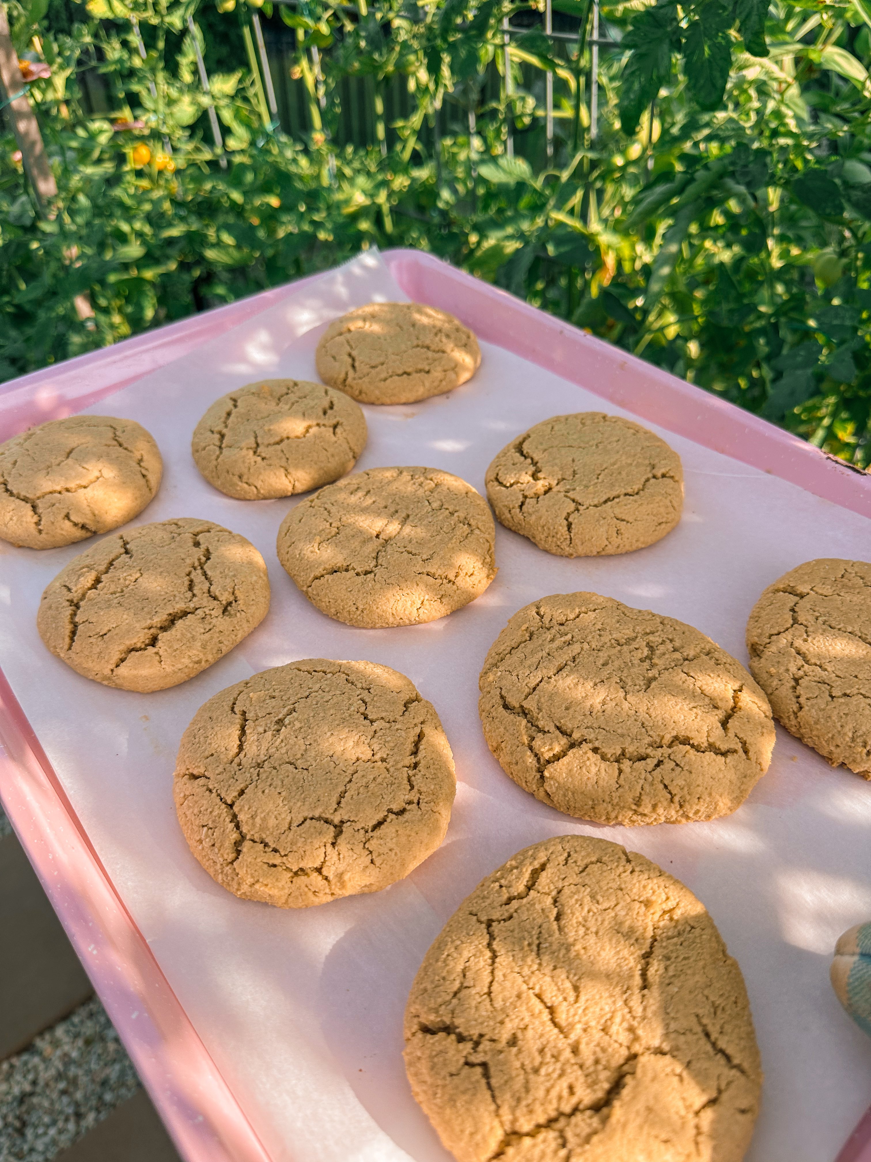 almond flour, peanut butter cookies, almond cookies, no refined sugar, sugar free, maple syrup, gluten-free, dairy-free, grain free, healthy food for family, healthy cookies, healthy dessert, healthy toddler food, breakfast cookies, almond flour cookies, peanut butter cookies, lower carb, sugar free
