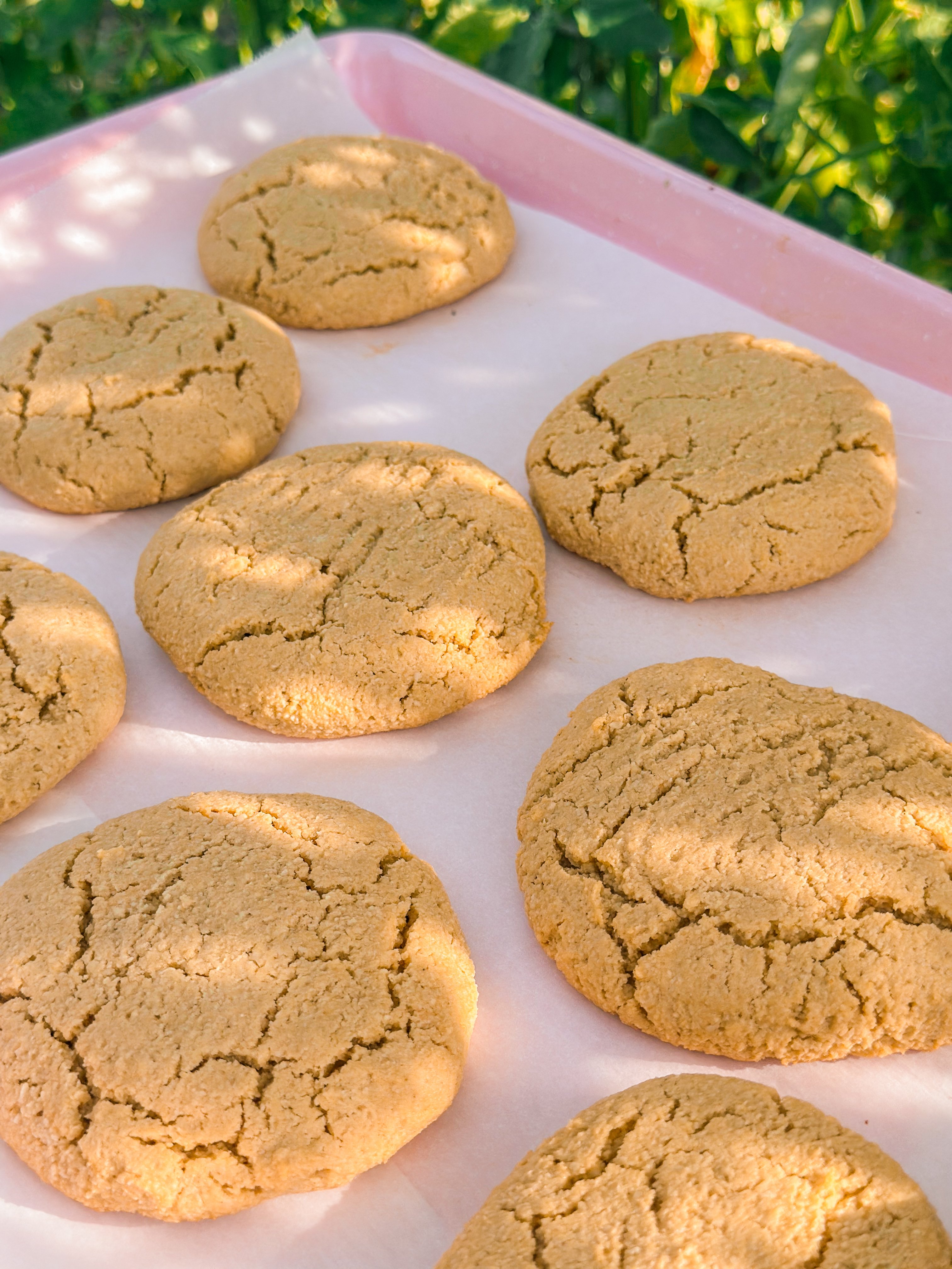 almond flour, peanut butter cookies, almond cookies, no refined sugar, sugar free, maple syrup, gluten-free, dairy-free, grain free, healthy food for family, healthy cookies, healthy dessert, healthy toddler food, breakfast cookies, almond flour cookies, peanut butter cookies, lower carb, sugar free