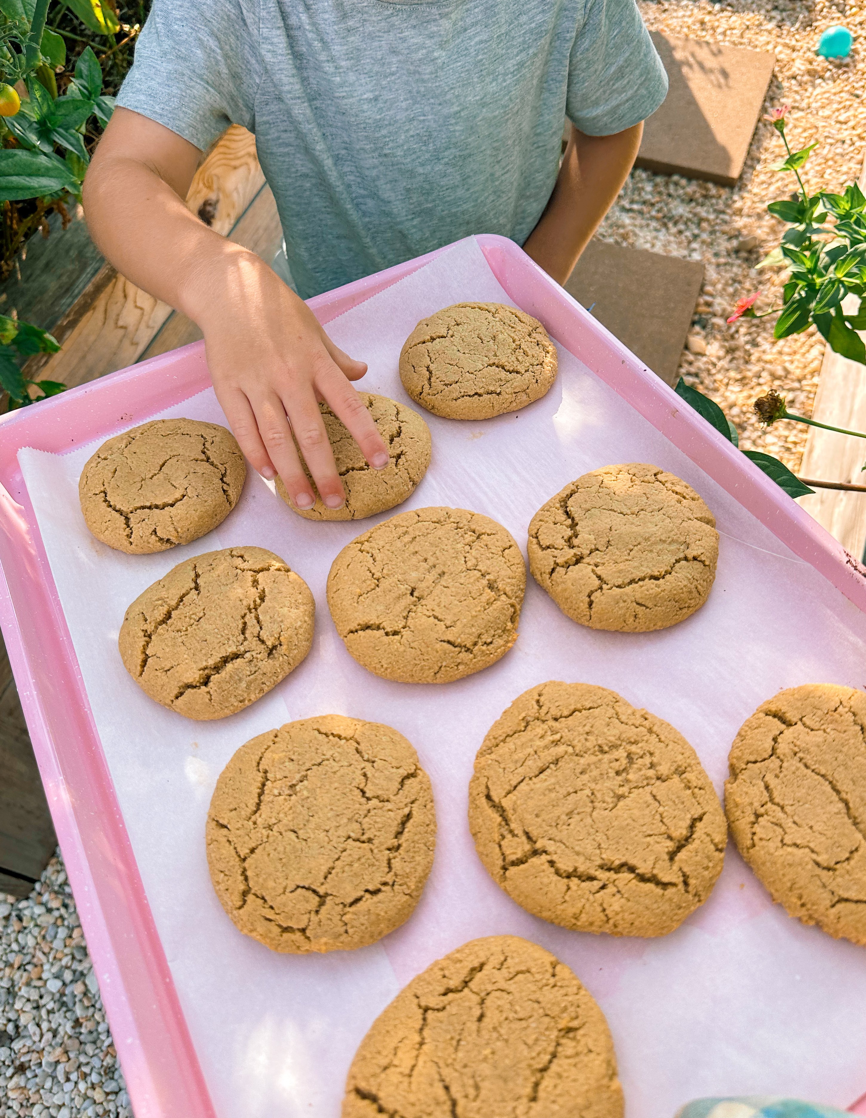 almond flour, peanut butter cookies, almond cookies, no refined sugar, sugar free, maple syrup, gluten-free, dairy-free, grain free, healthy food for family, healthy cookies, healthy dessert, healthy toddler food, breakfast cookies, almond flour cookies, peanut butter cookies, lower carb, sugar free