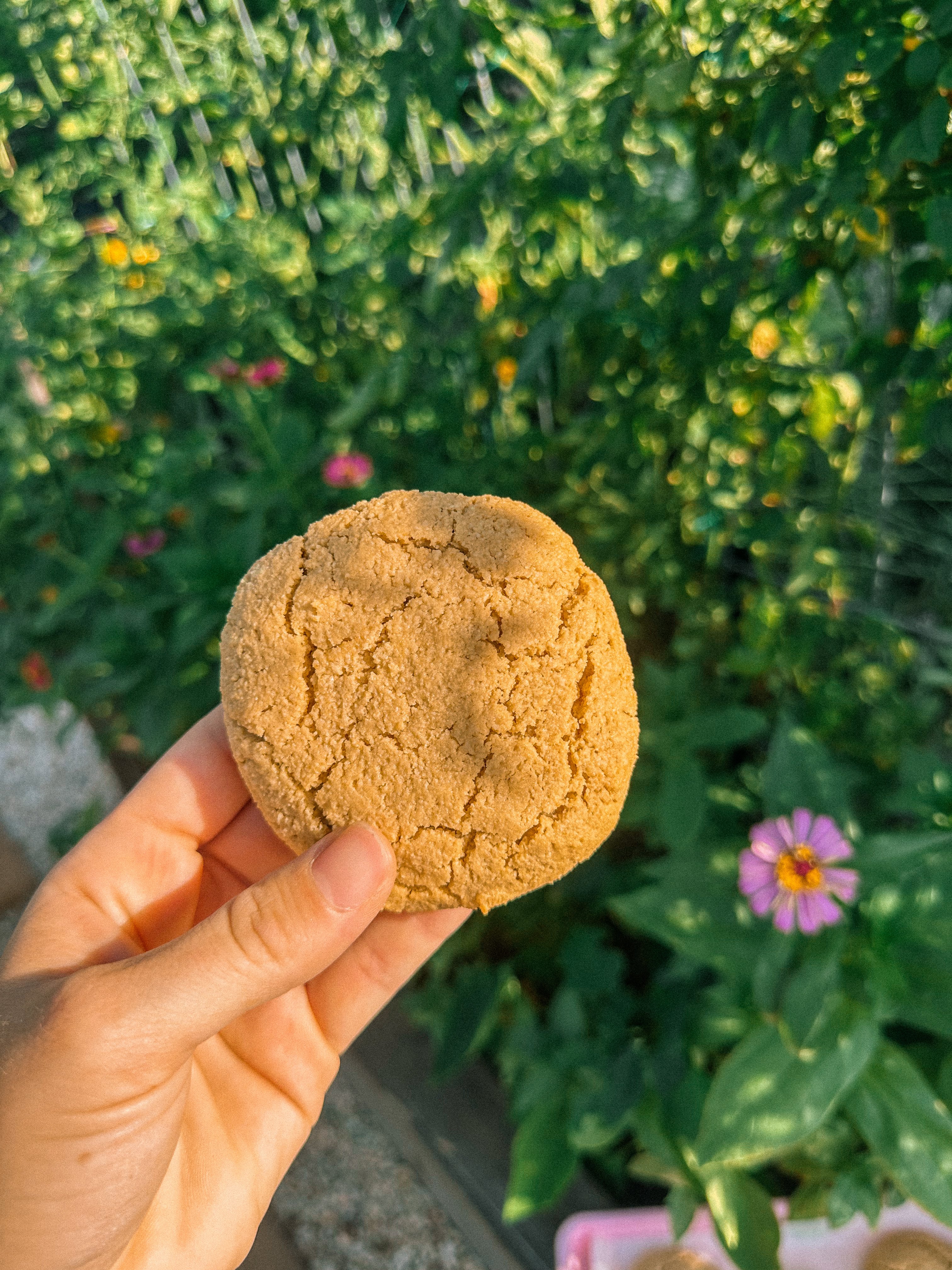 almond flour, peanut butter cookies, almond cookies, no refined sugar, sugar free, maple syrup, gluten-free, dairy-free, grain free, healthy food for family, healthy cookies, healthy dessert, healthy toddler food, breakfast cookies, almond flour cookies, peanut butter cookies, lower carb, sugar free