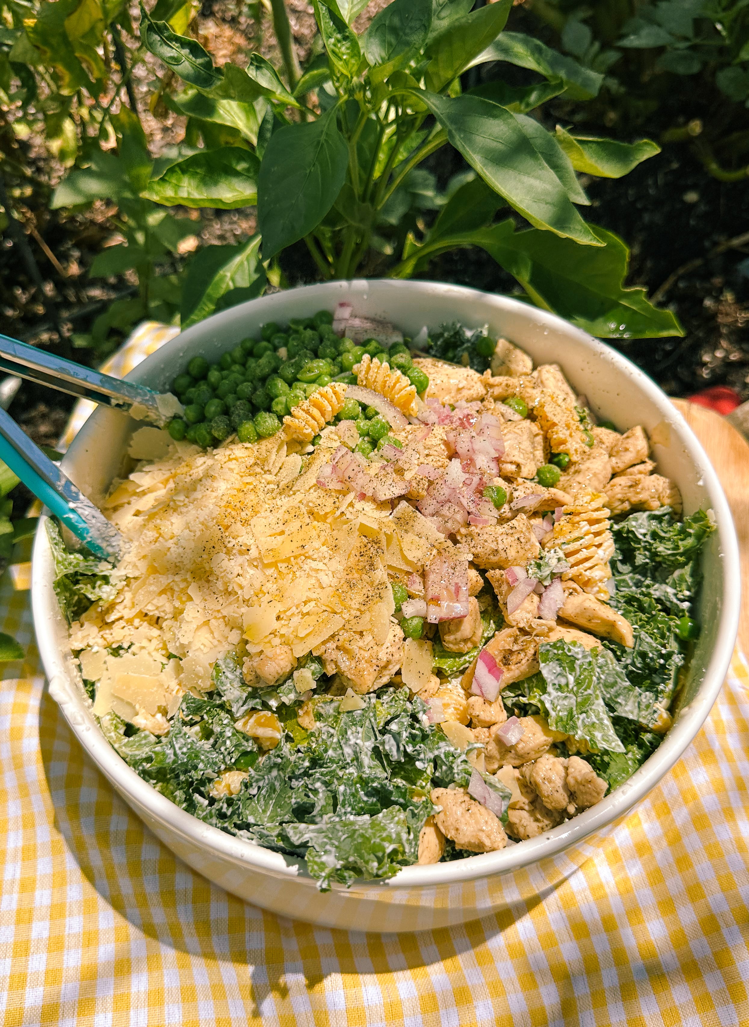 cottage cheese protein caesar pasta, protein pasta salad, cottage cheese pasta sauce, caesar cottage cheese dressing, protein pasta, brami protein pasta, chicken, healthy eating, kale, low carb, parmesan, lunch, summer, healthy food