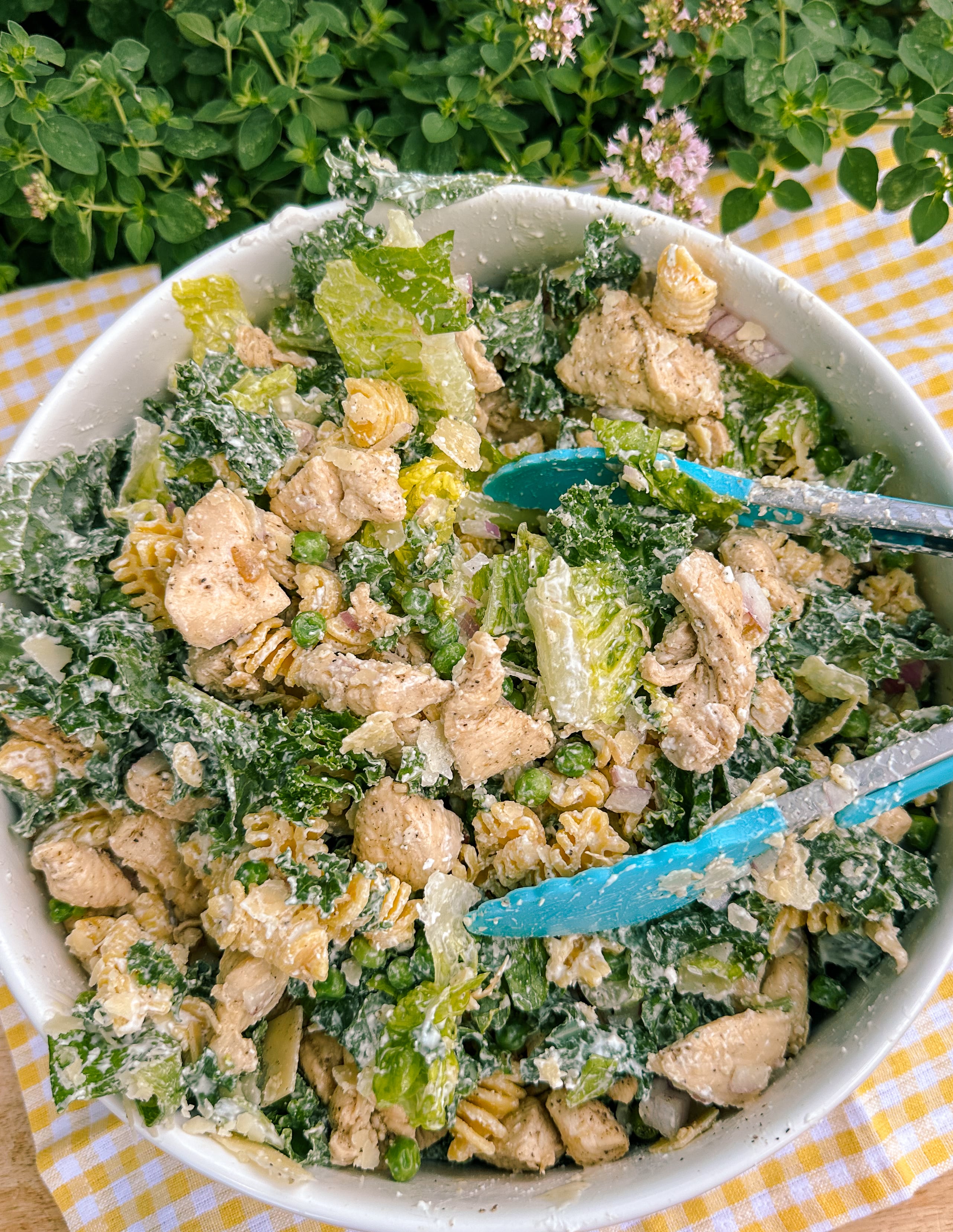 cottage cheese protein caesar pasta, protein pasta salad, cottage cheese pasta sauce, caesar cottage cheese dressing, protein pasta, brami protein pasta, chicken, healthy eating, kale, low carb, parmesan, lunch, summer, healthy food