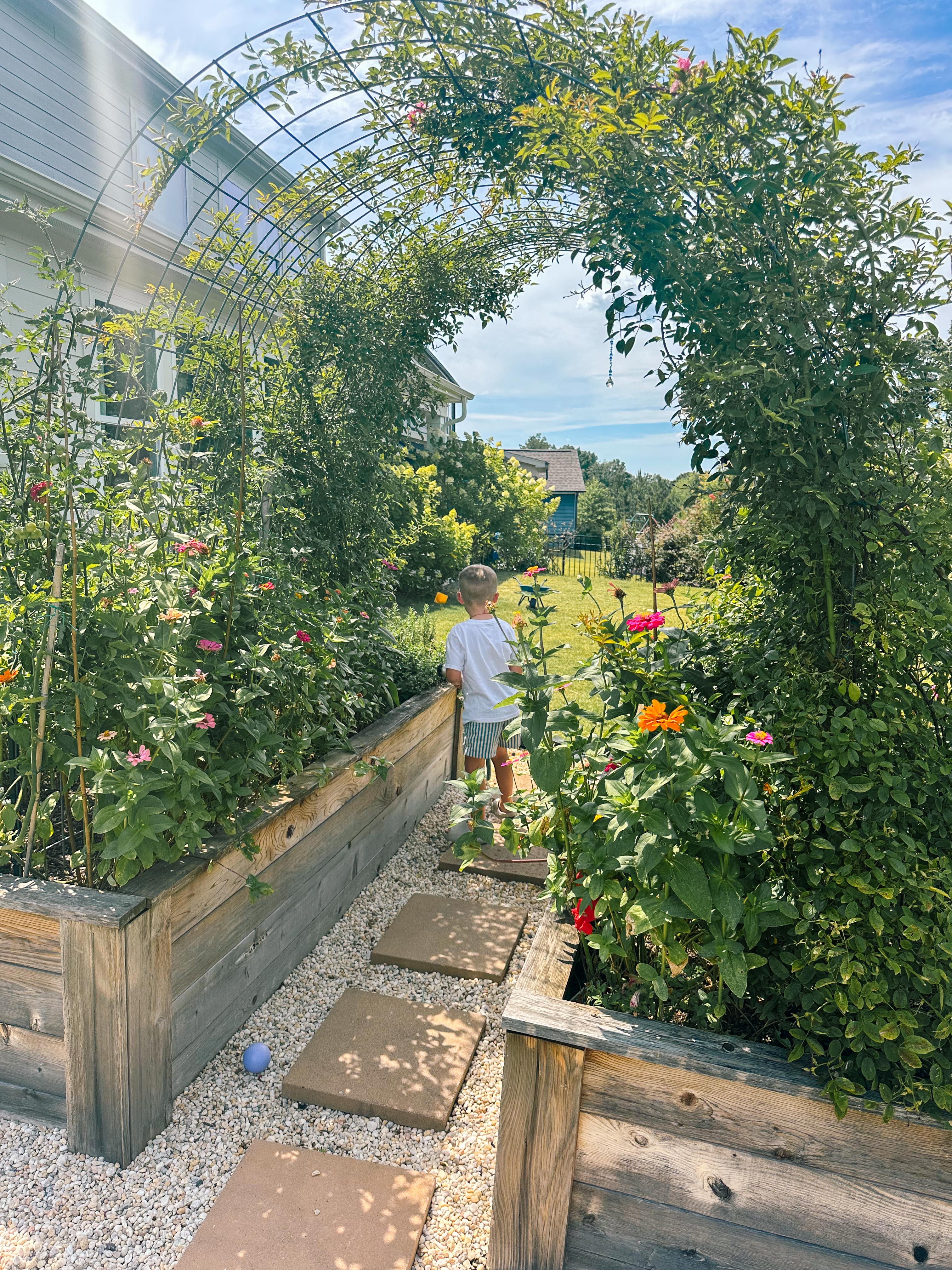 summer time with kids, motherhood, blog, lifestyle blog, south carolina, fort mill, boy mom, recap blog, summer fun, kids recipes, healthy eating, gardening, pool, food, snacks, lifestyle blogger, scooter, active kids, recipes