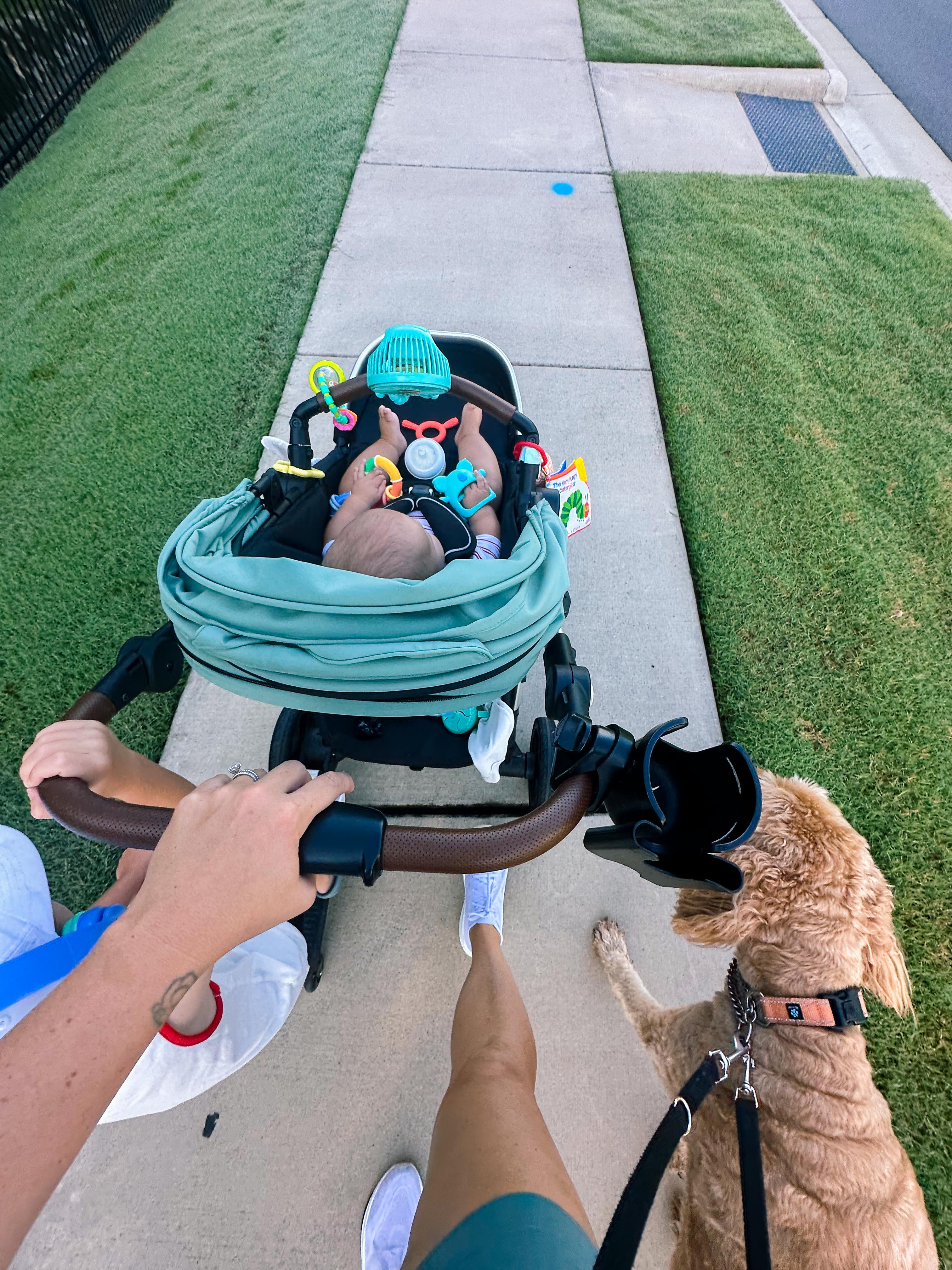 summer time with kids, motherhood, blog, lifestyle blog, south carolina, fort mill, boy mom, recap blog, summer fun, kids recipes, healthy eating, gardening, pool, food, snacks, lifestyle blogger