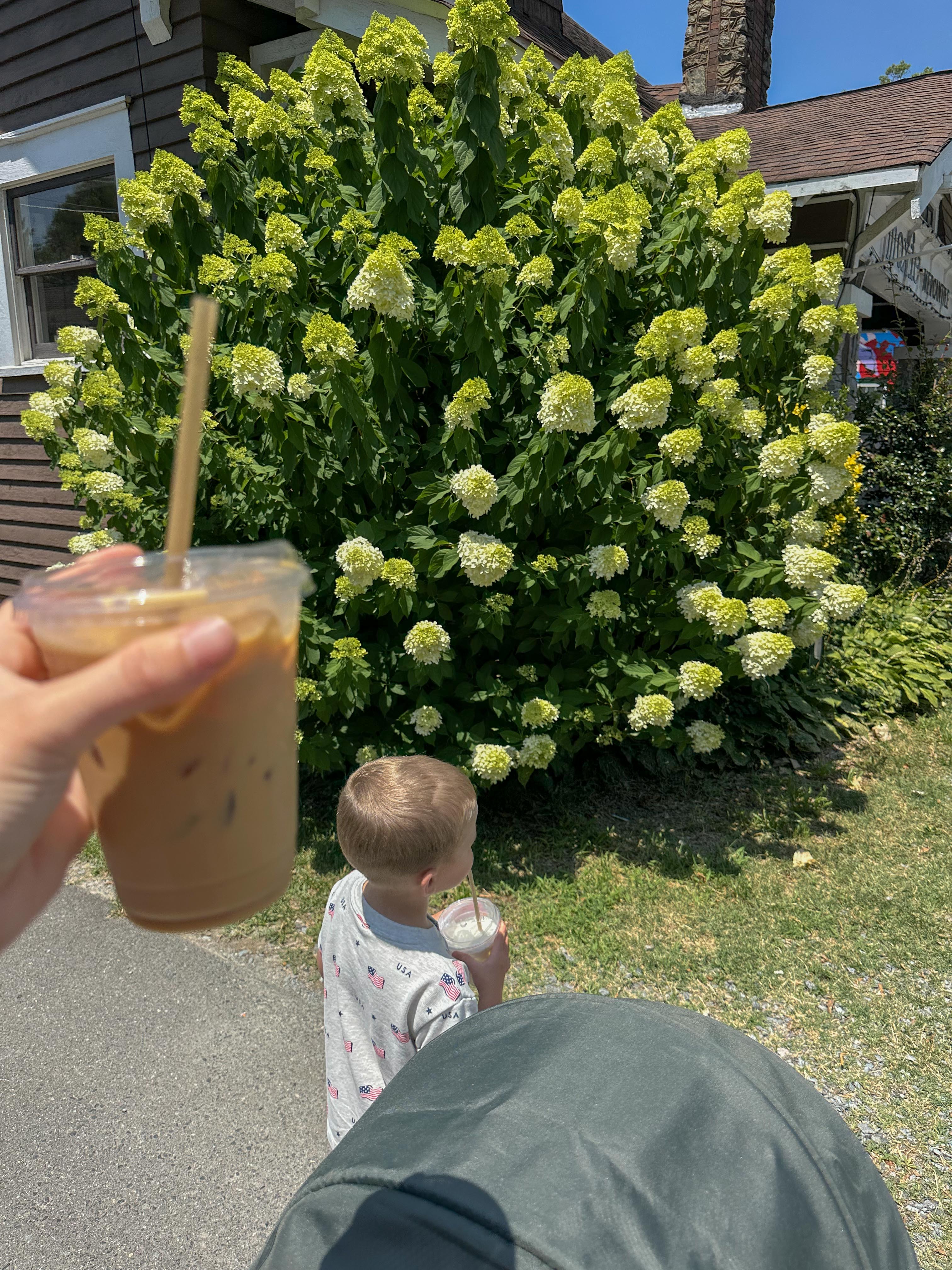 summer time with kids, motherhood, blog, lifestyle blog, south carolina, fort mill, boy mom, recap blog, summer fun, kids recipes, healthy eating, gardening, pool, food, snacks, lifestyle blogger
