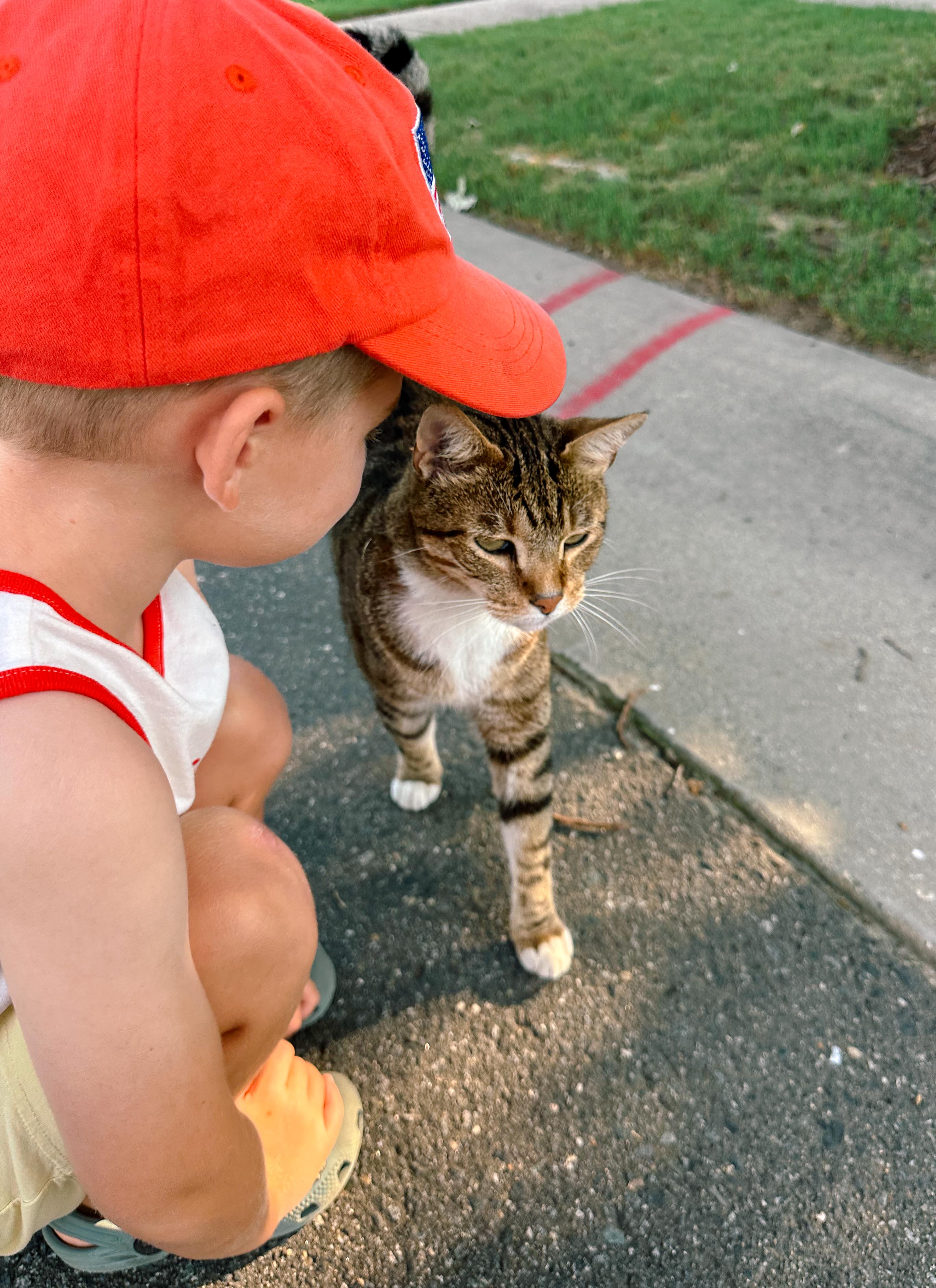 summer time with kids, motherhood, blog, lifestyle blog, south carolina, fort mill, boy mom, recap blog, summer fun, kids recipes, healthy eating, gardening, pool, food, snacks, lifestyle blogger