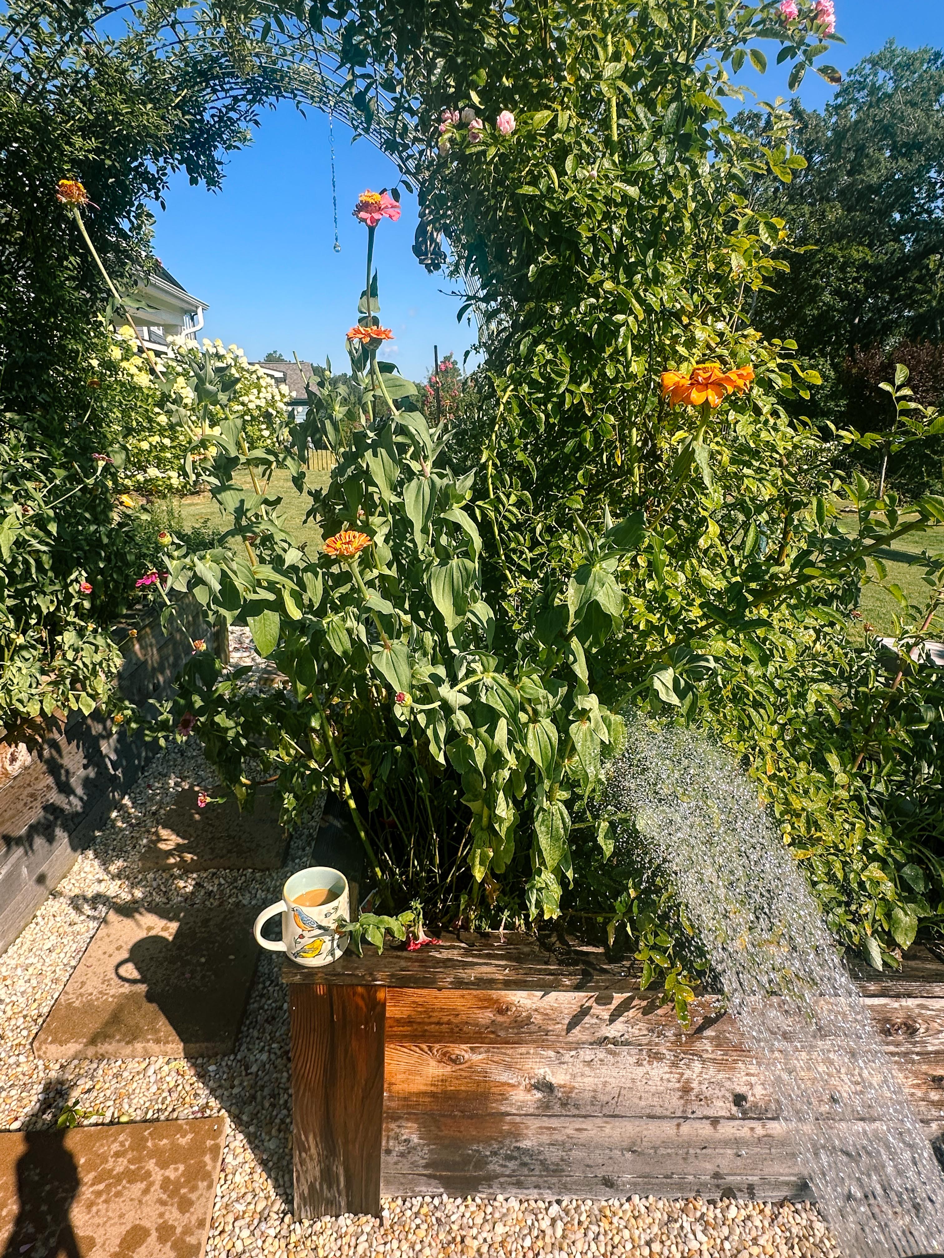 summer time with kids, motherhood, blog, lifestyle blog, south carolina, fort mill, boy mom, recap blog, summer fun, kids recipes, healthy eating, gardening, pool, food, snacks, lifestyle blogger