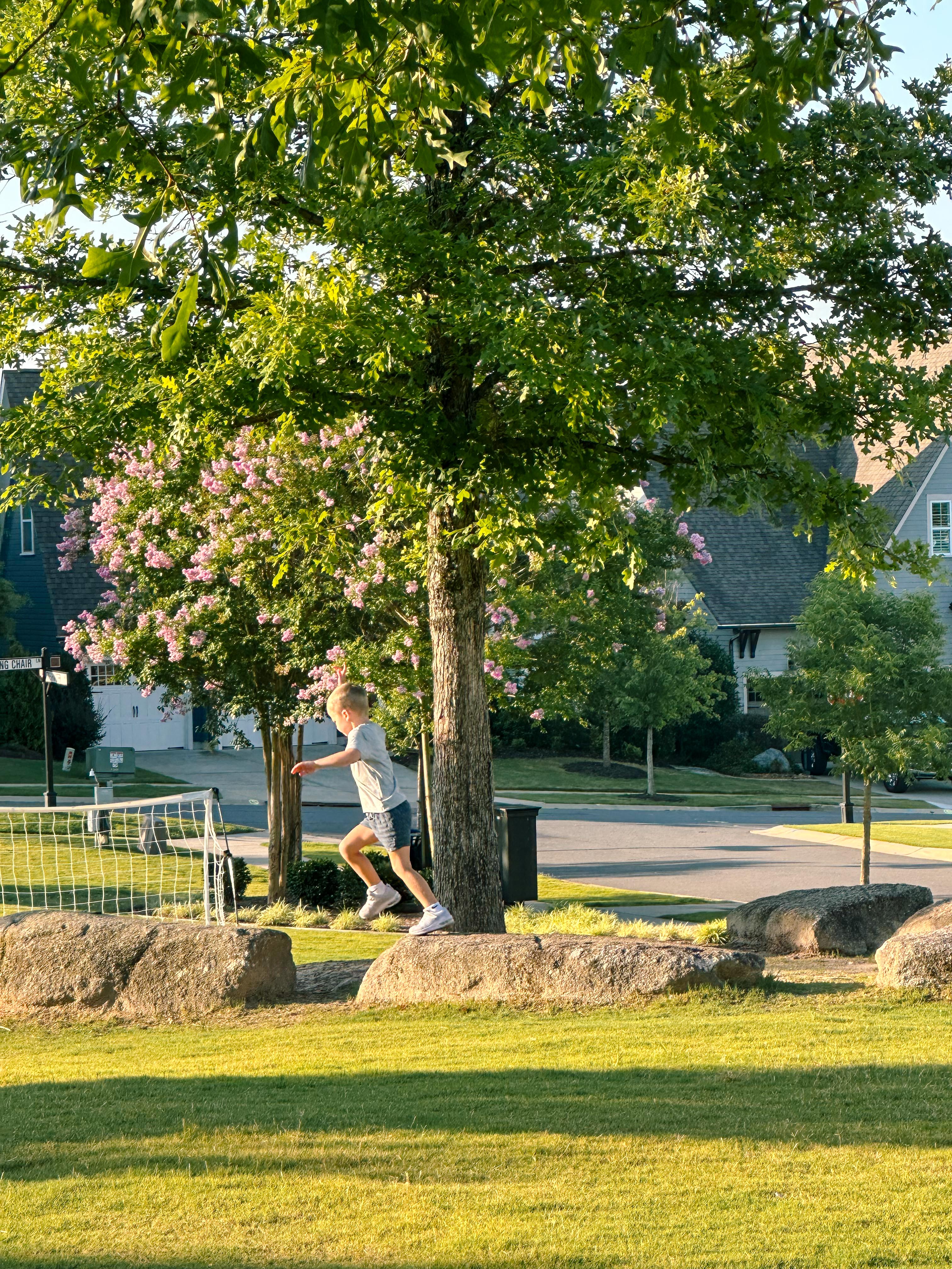 summer time with kids, motherhood, blog, lifestyle blog, south carolina, fort mill, boy mom, recap blog, summer fun, kids recipes, healthy eating, gardening, pool, food, snacks, lifestyle blogger