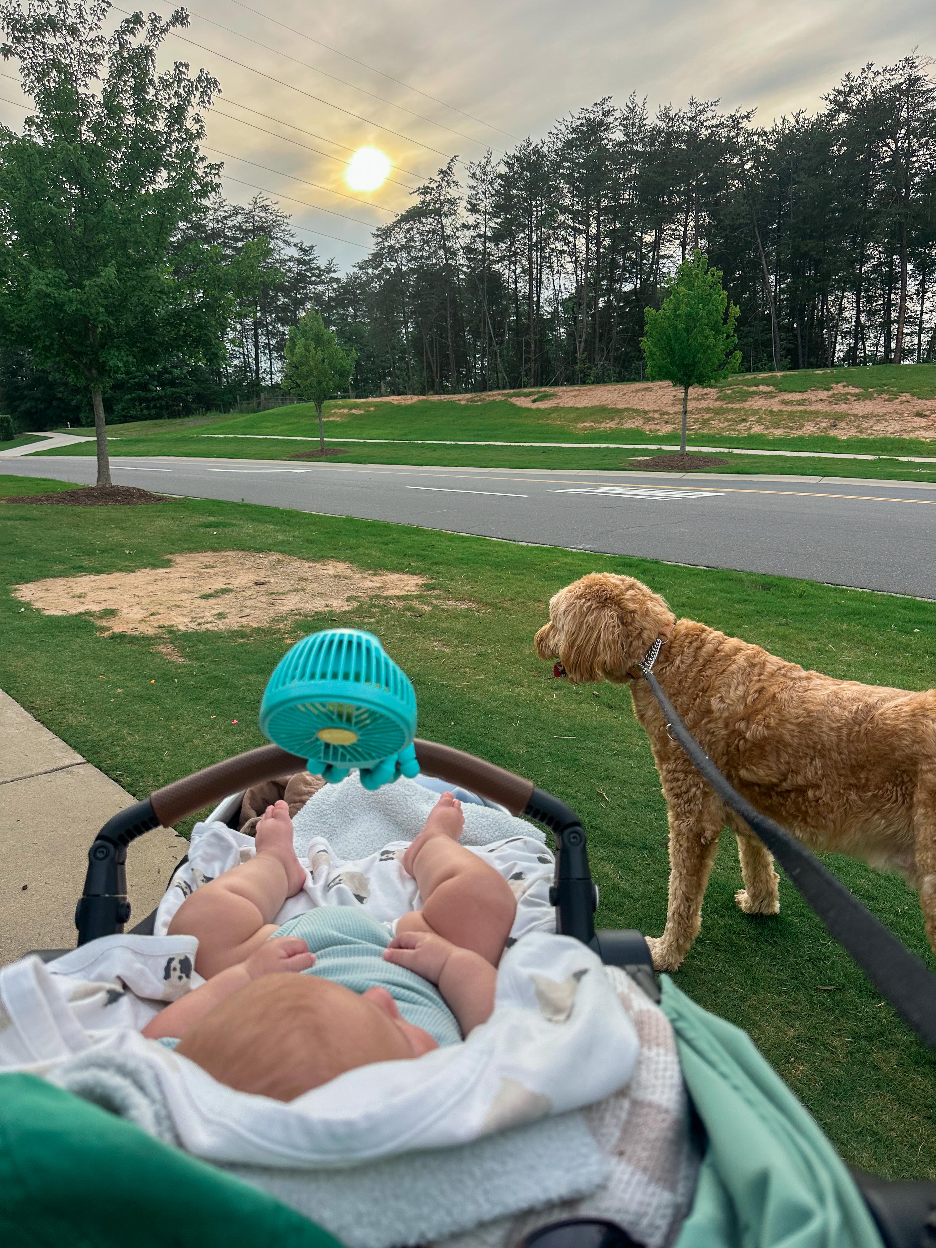 summer time with kids, motherhood, blog, lifestyle blog, south carolina, fort mill, boy mom, recap blog, summer fun, kids recipes, healthy eating, gardening, pool, food, snacks, lifestyle blogger