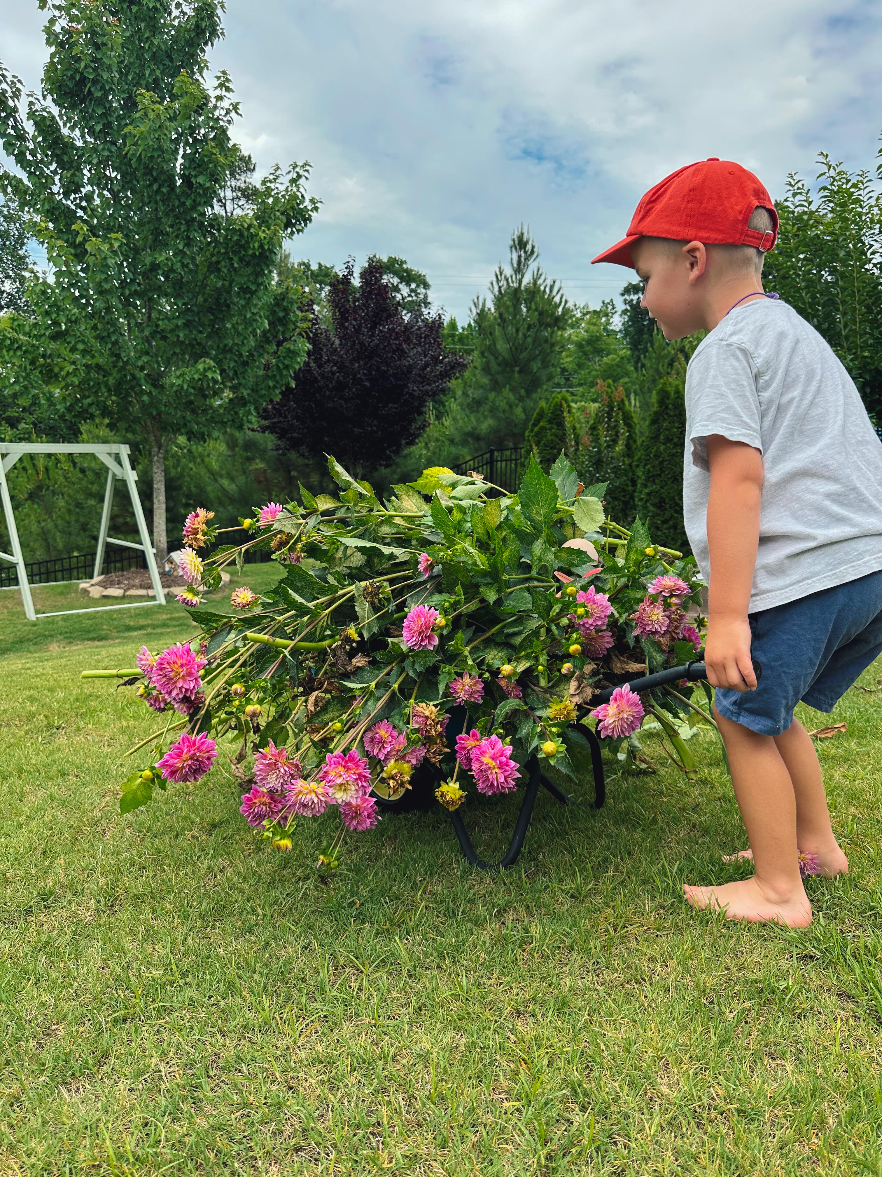 summer time with kids, motherhood, blog, lifestyle blog, south carolina, fort mill, boy mom, recap blog, summer fun, kids recipes, healthy eating, gardening, pool, food, snacks, lifestyle blogger