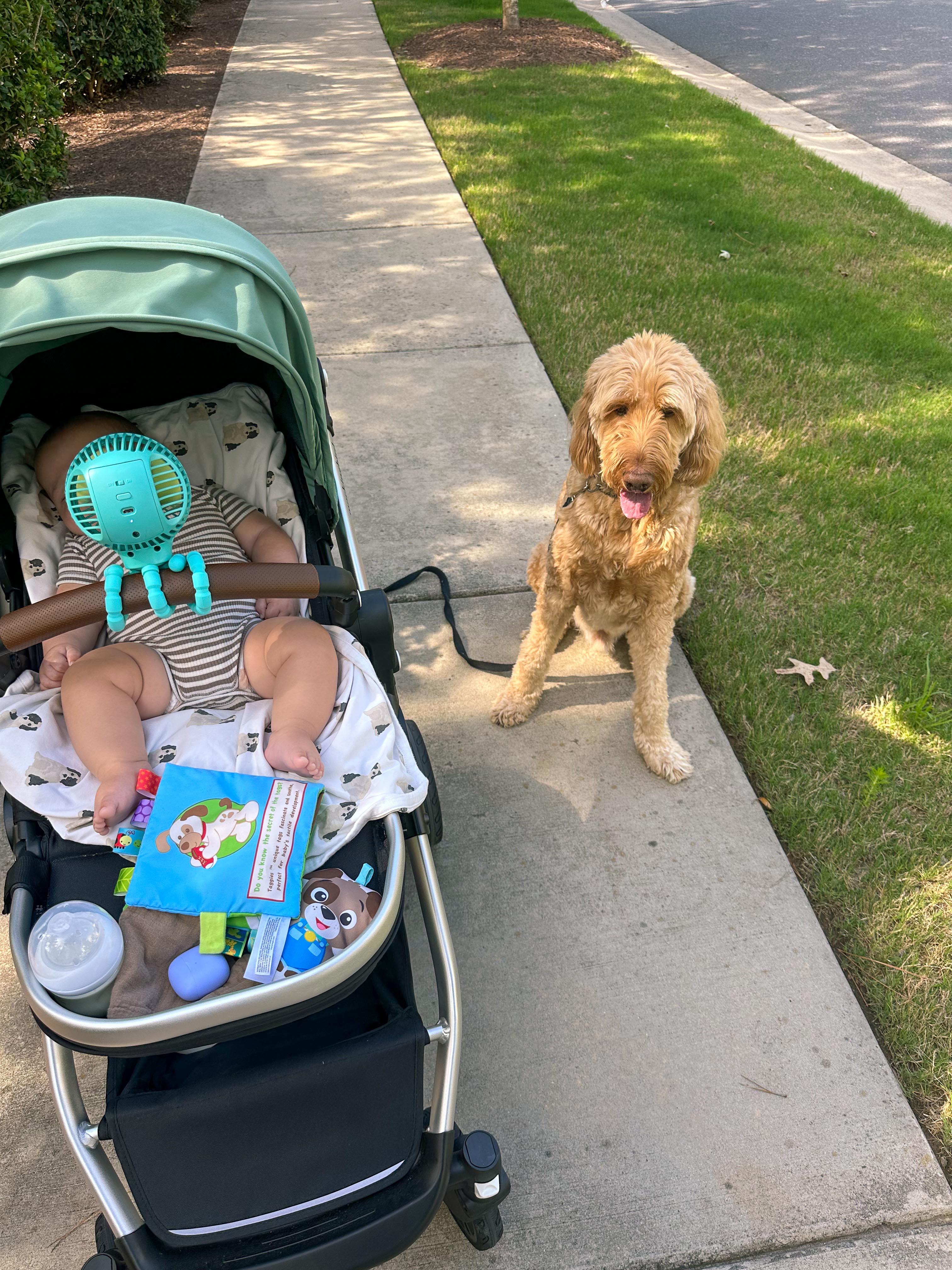 summer time with kids, motherhood, blog, lifestyle blog, south carolina, fort mill, boy mom, recap blog, summer fun, kids recipes, healthy eating, gardening, pool, food, snacks, lifestyle blogger