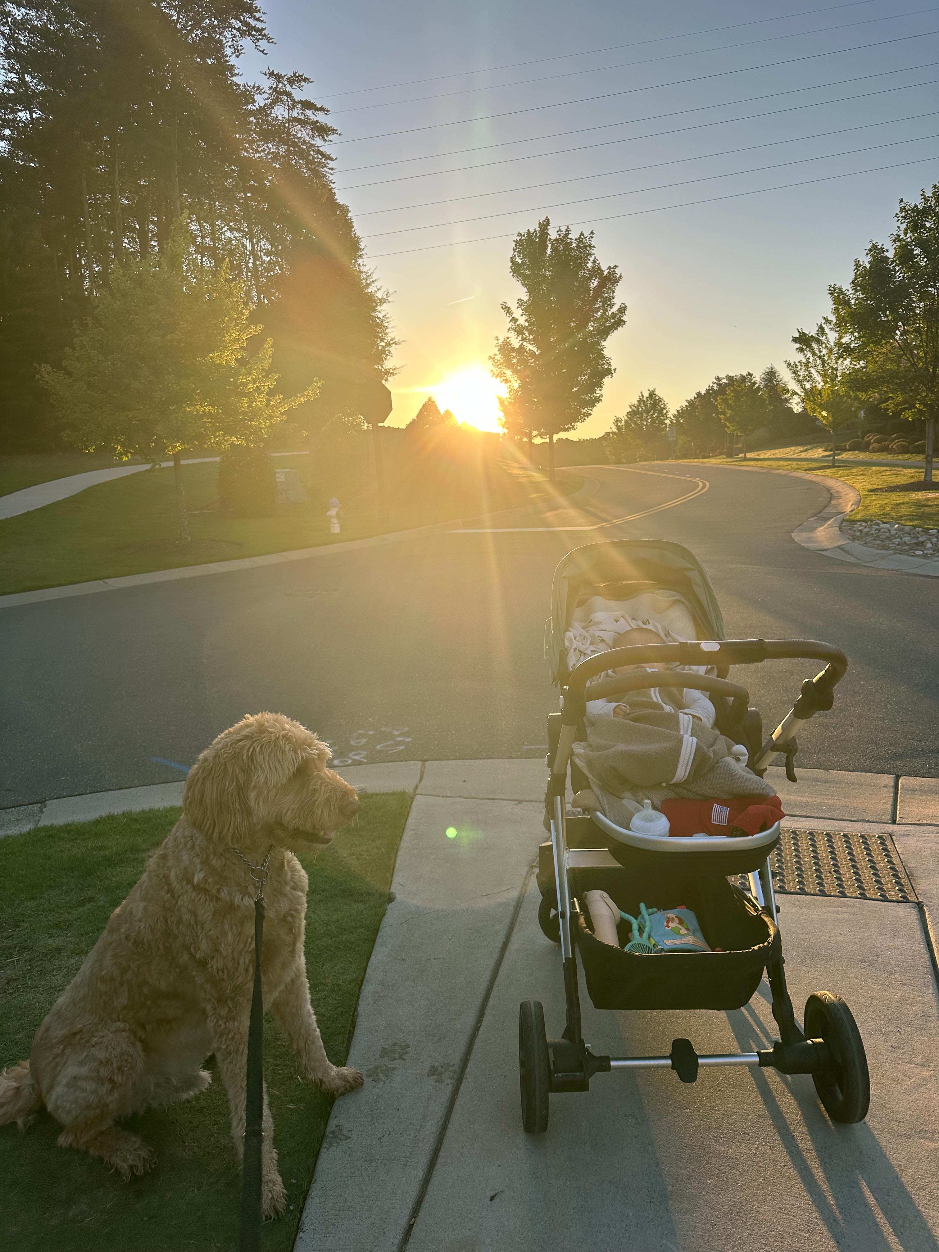 summer time with kids, motherhood, blog, lifestyle blog, south carolina, fort mill, boy mom, recap blog, summer fun, kids recipes, healthy eating, gardening, pool, food, snacks, lifestyle blogger
