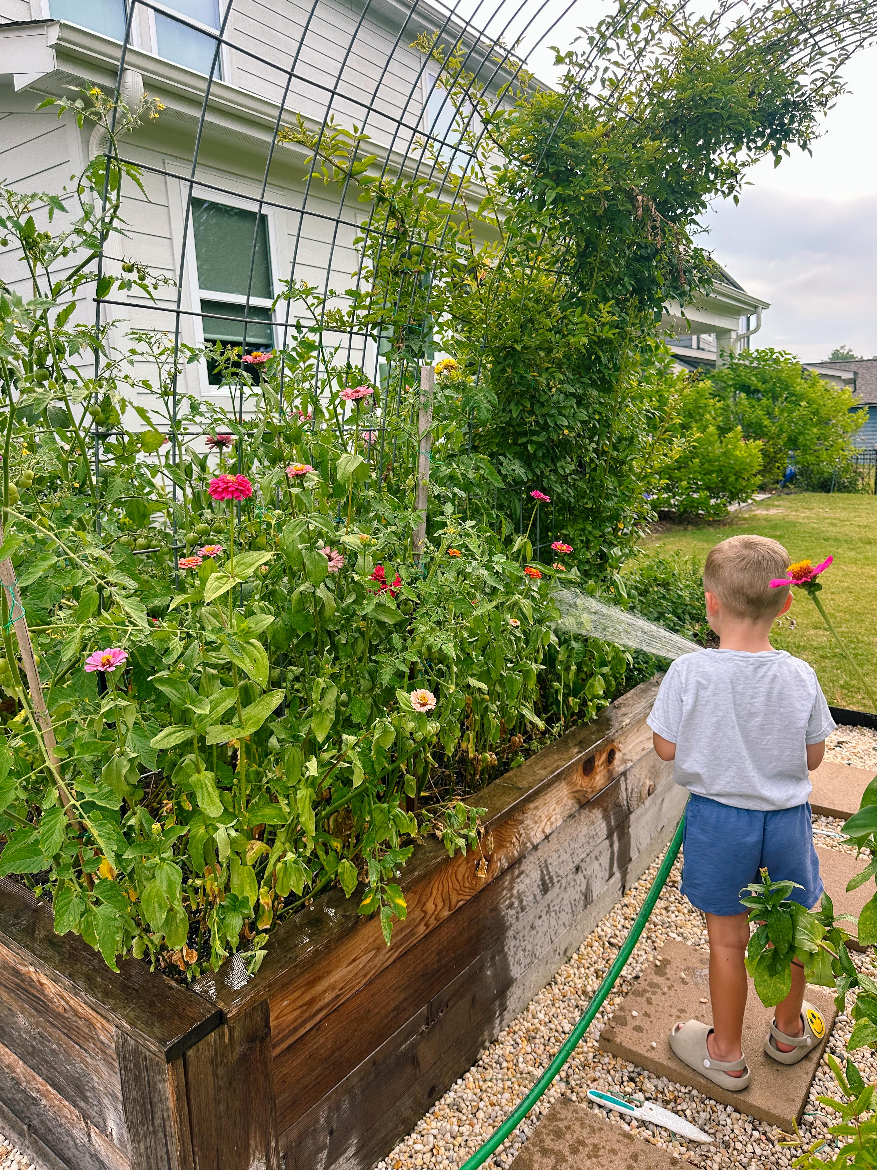 summer time with kids, motherhood, blog, lifestyle blog, south carolina, fort mill, boy mom, recap blog, summer fun, kids recipes, healthy eating, gardening, pool, food, snacks, lifestyle blogger