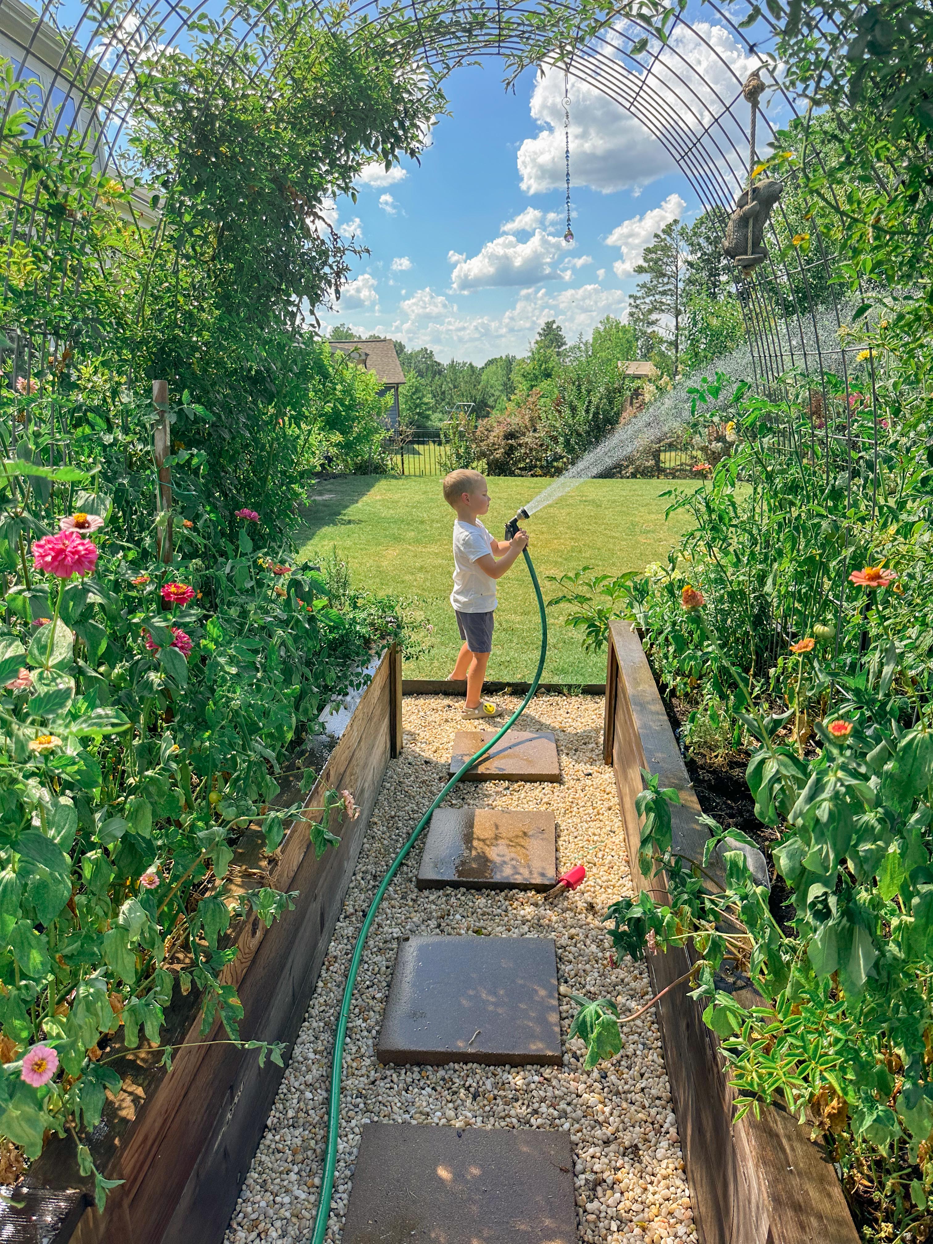 summer time with kids, motherhood, blog, lifestyle blog, south carolina, fort mill, boy mom, recap blog, summer fun, kids recipes, healthy eating, gardening, pool, food, snacks, lifestyle blogger