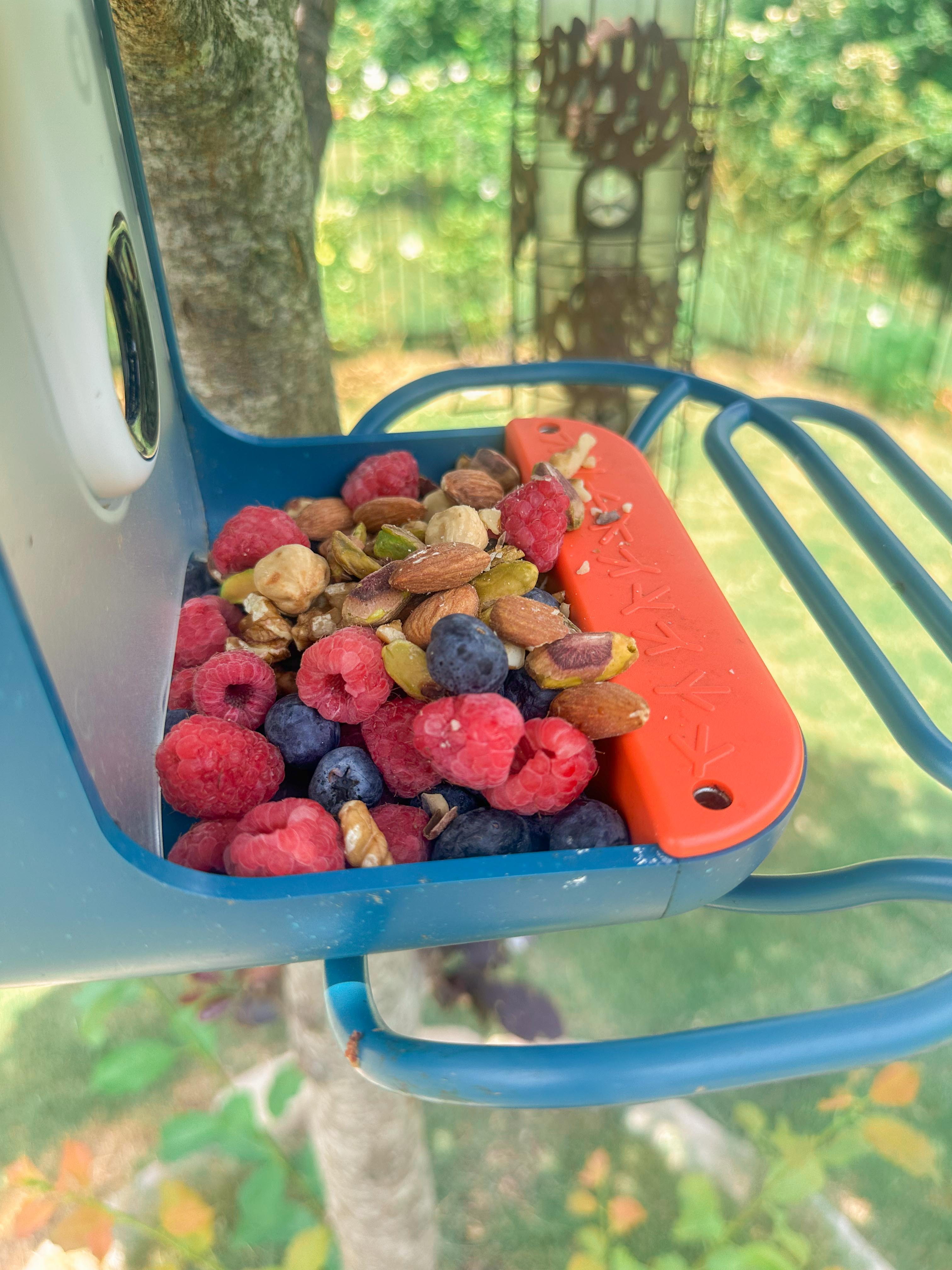 summer time with kids, motherhood, blog, lifestyle blog, south carolina, fort mill, boy mom, recap blog, summer fun, kids recipes, healthy eating, gardening, pool, food, snacks, lifestyle blogger