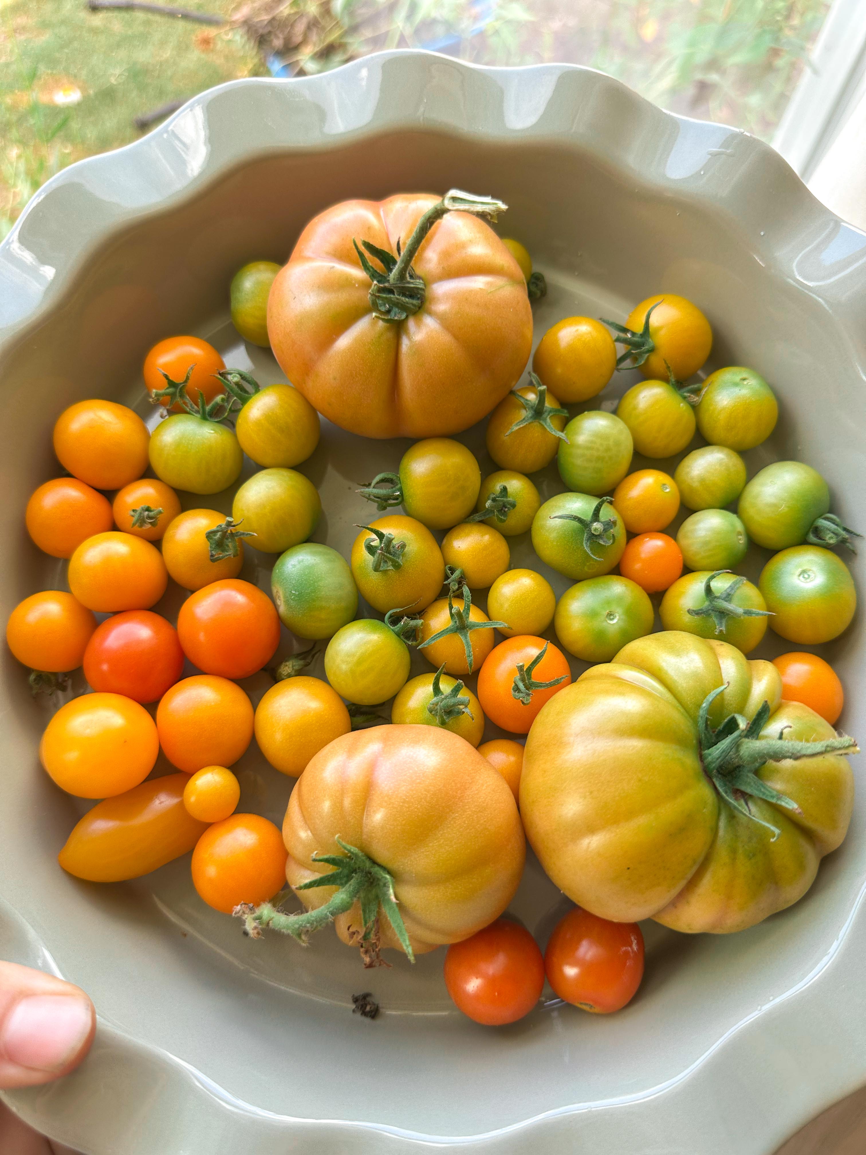 summer time with kids, motherhood, blog, lifestyle blog, south carolina, fort mill, boy mom, recap blog, summer fun, kids recipes, healthy eating, gardening, pool, food, snacks, lifestyle blogger