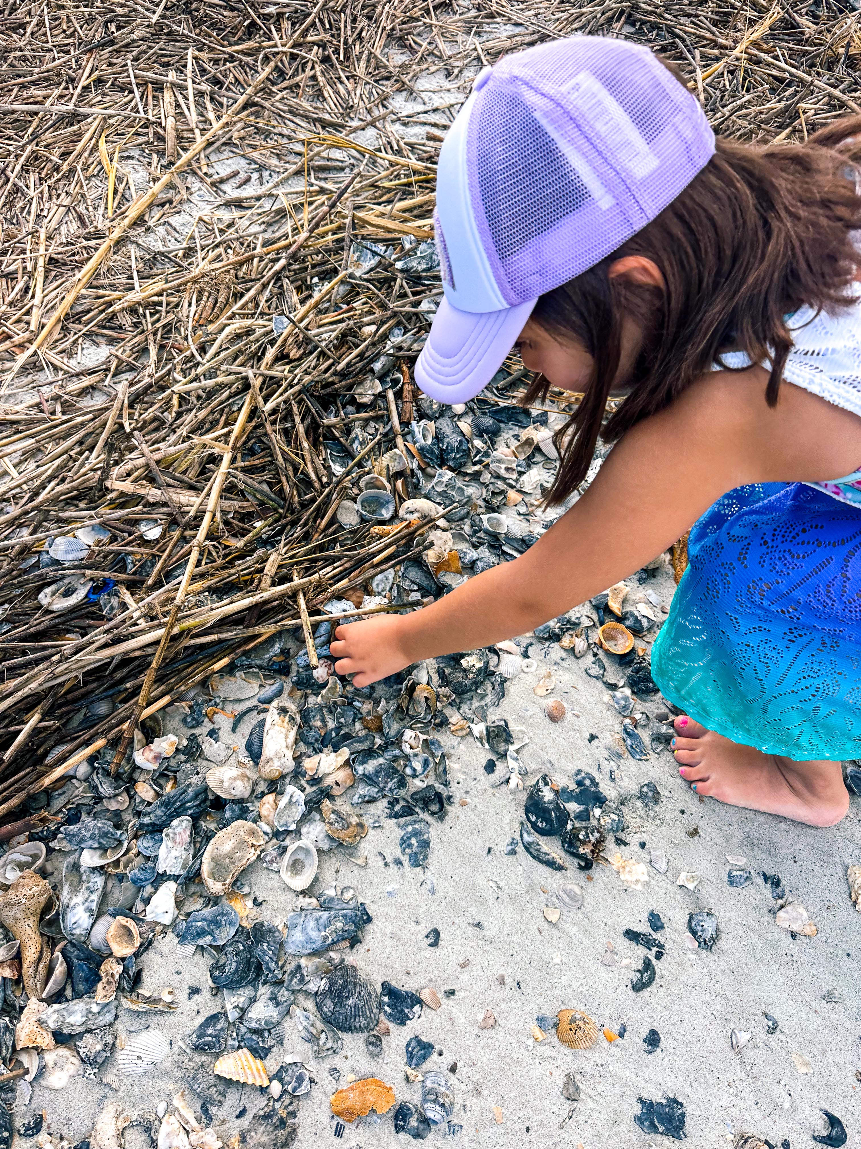 seabrook south carolina, coon hollow, rental, rental property, family rental with pool, travel guide, seabrook island south carolina traveling, travel post