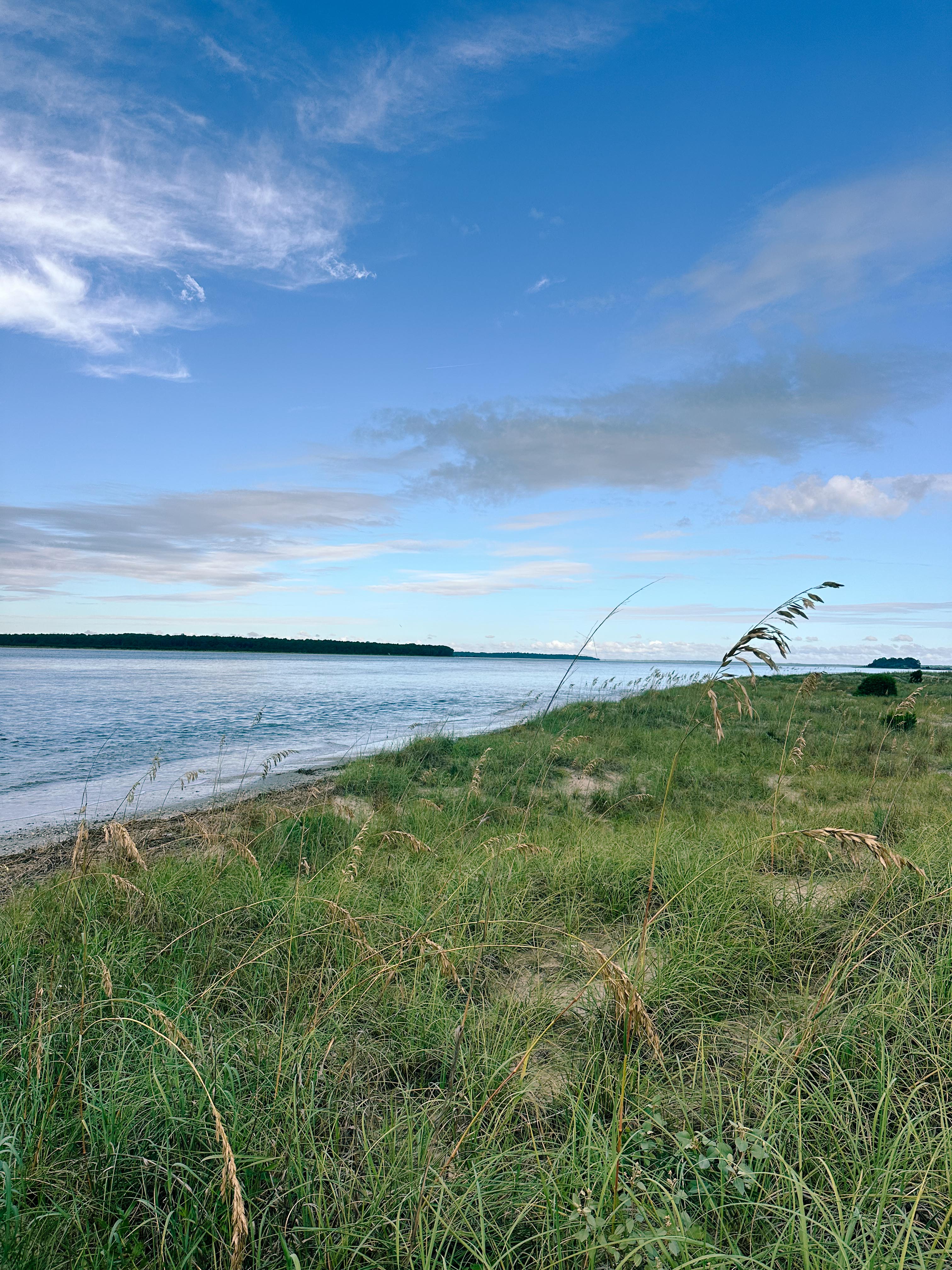 seabrook south carolina, coon hollow, rental, rental property, family rental with pool, travel guide, seabrook island south carolina traveling, travel post
