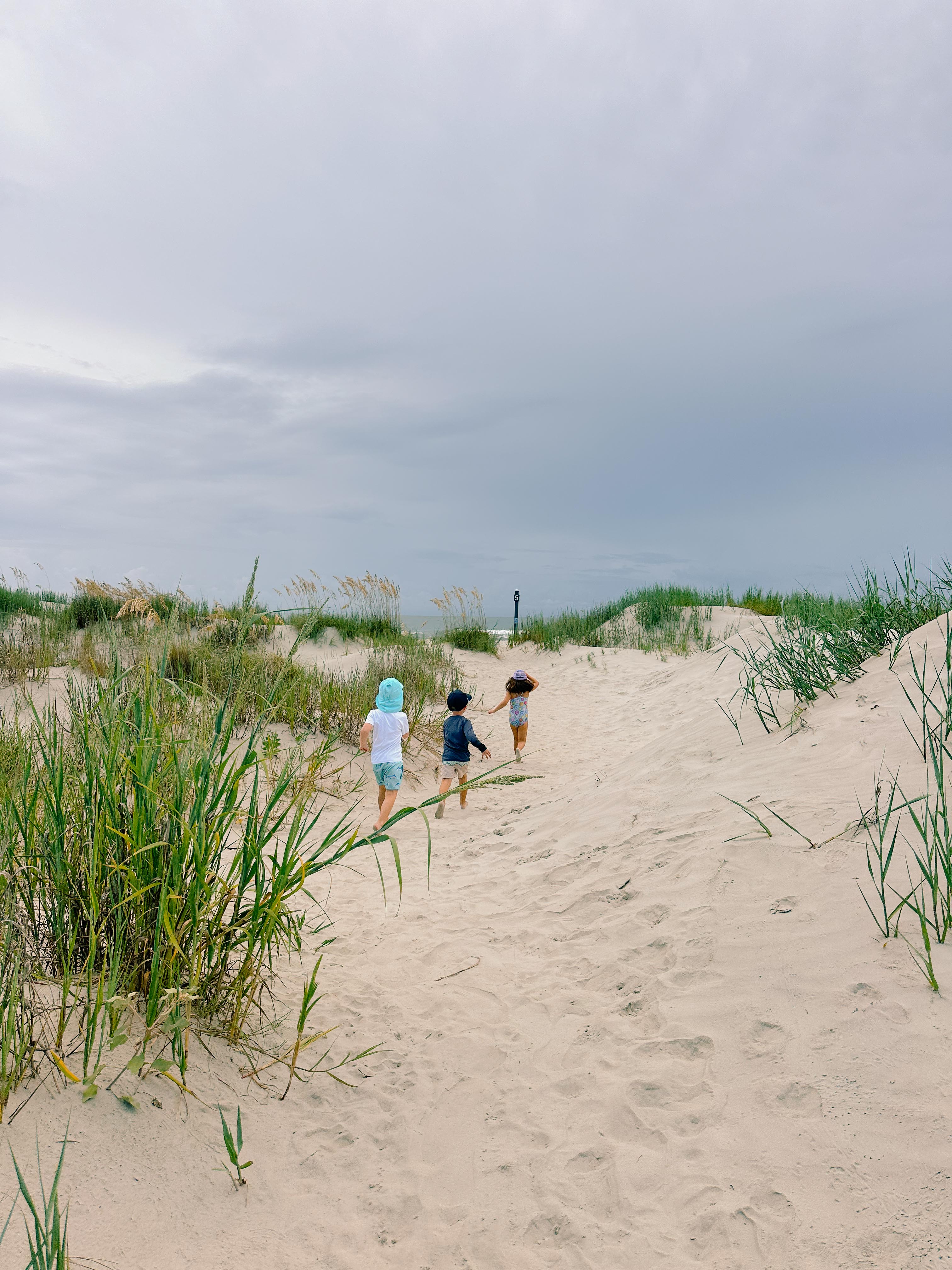 seabrook south carolina, coon hollow, rental, rental property, family rental with pool, travel guide, seabrook island south carolina traveling, travel post