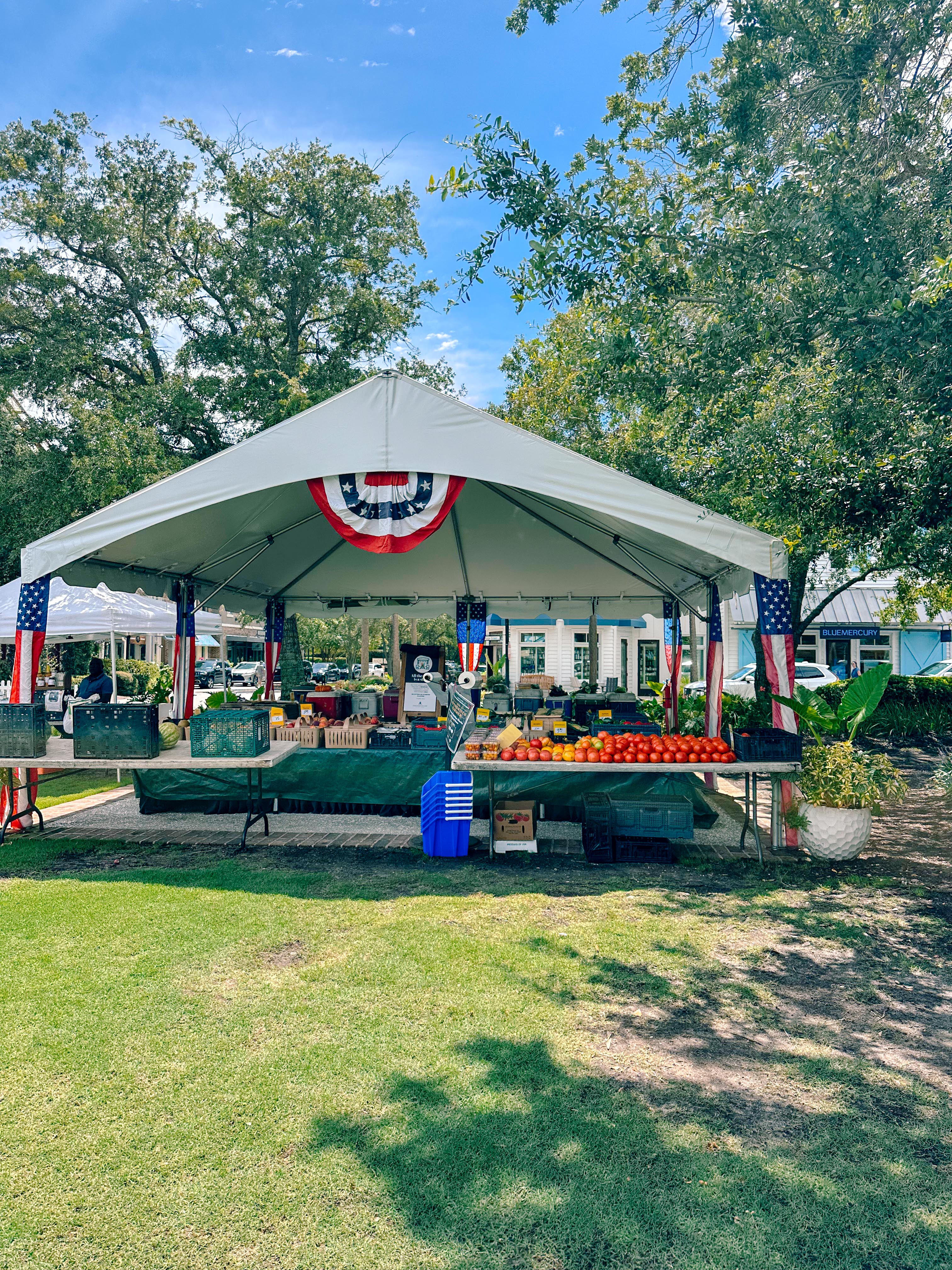 seabrook south carolina, coon hollow, rental, rental property, family rental with pool, travel guide, seabrook island south carolina traveling, travel post, farmers market at freshfields village