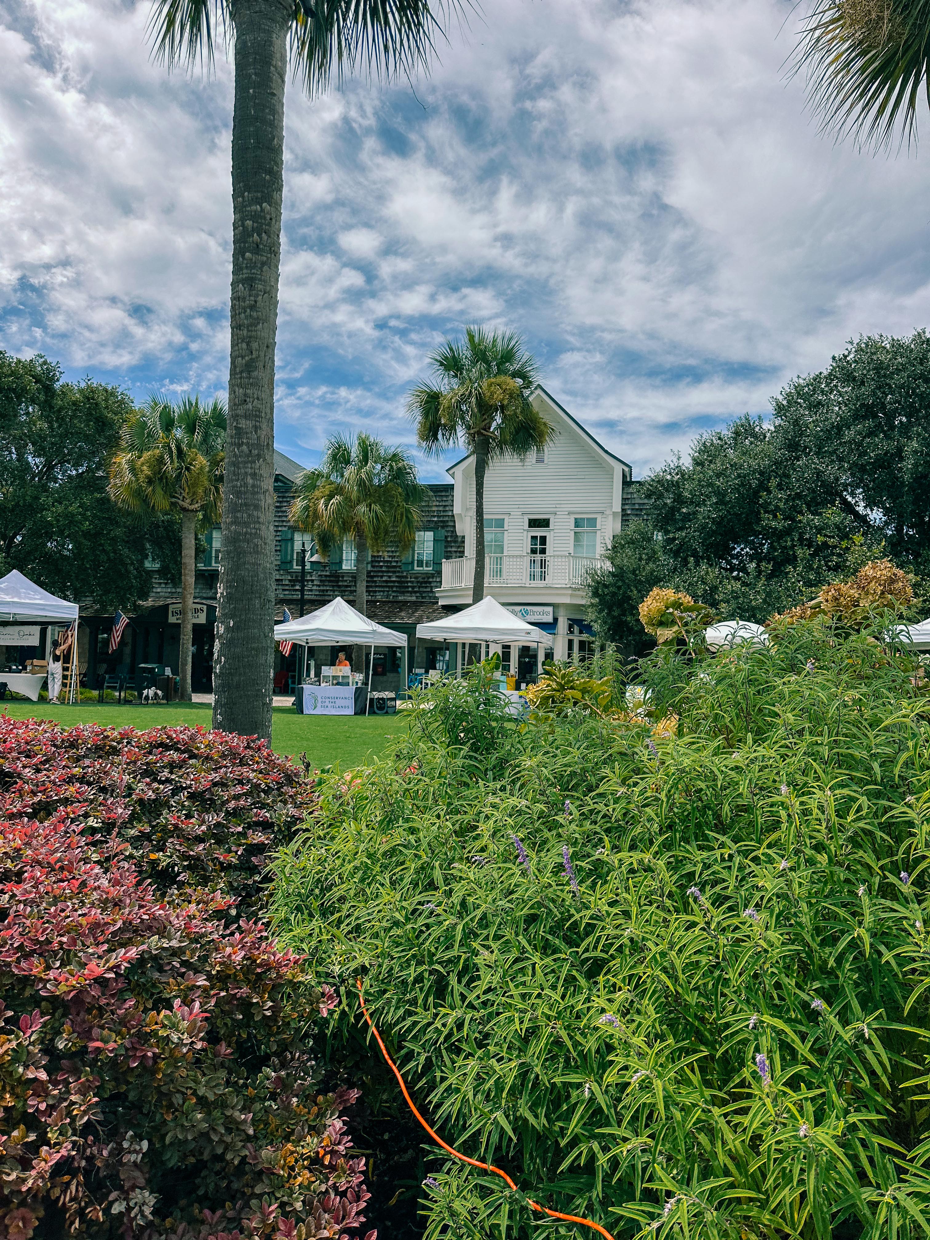 seabrook south carolina, coon hollow, rental, rental property, family rental with pool, travel guide, seabrook island south carolina traveling, travel post