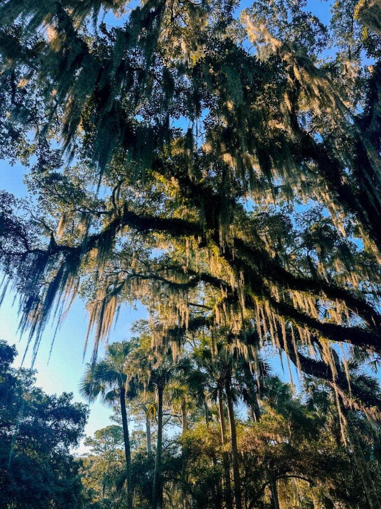 seabrook south carolina, coon hollow, rental, rental property, family rental with pool, travel guide, seabrook island south carolina traveling, travel post, farmers market at freshfields village