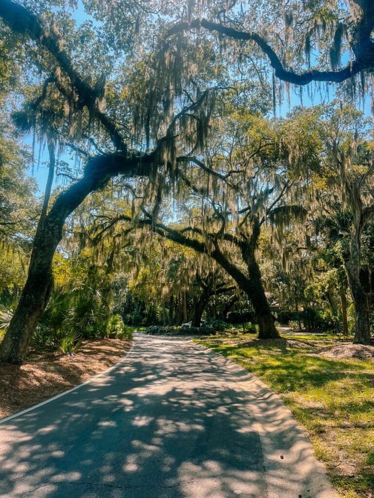 seabrook south carolina, coon hollow, rental, rental property, family rental with pool, travel guide, seabrook island south carolina traveling, travel post, farmers market at freshfields village